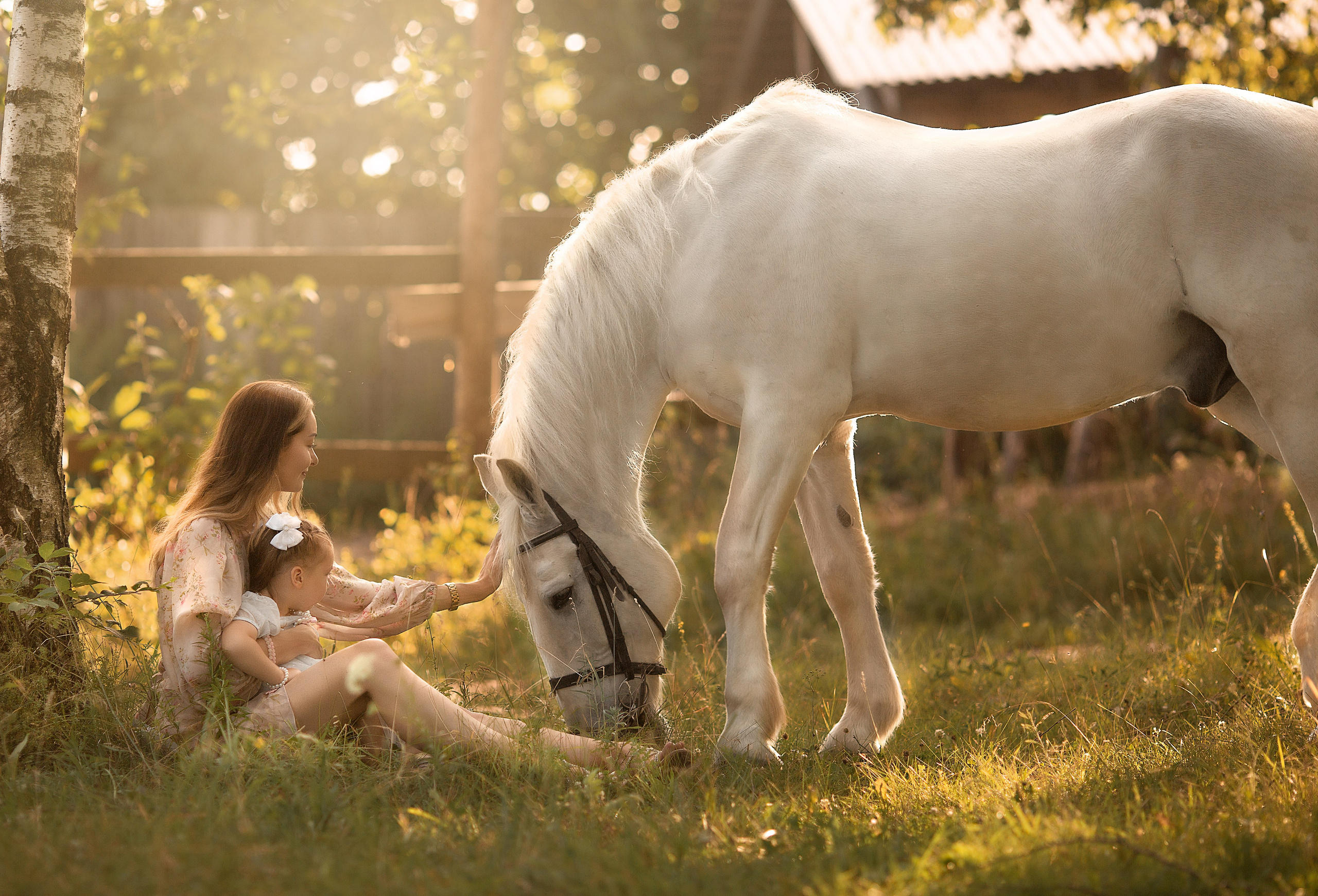 Кристина и семья с Воробьем. Фотосессия с лошадьми в Нижнем Новгороде