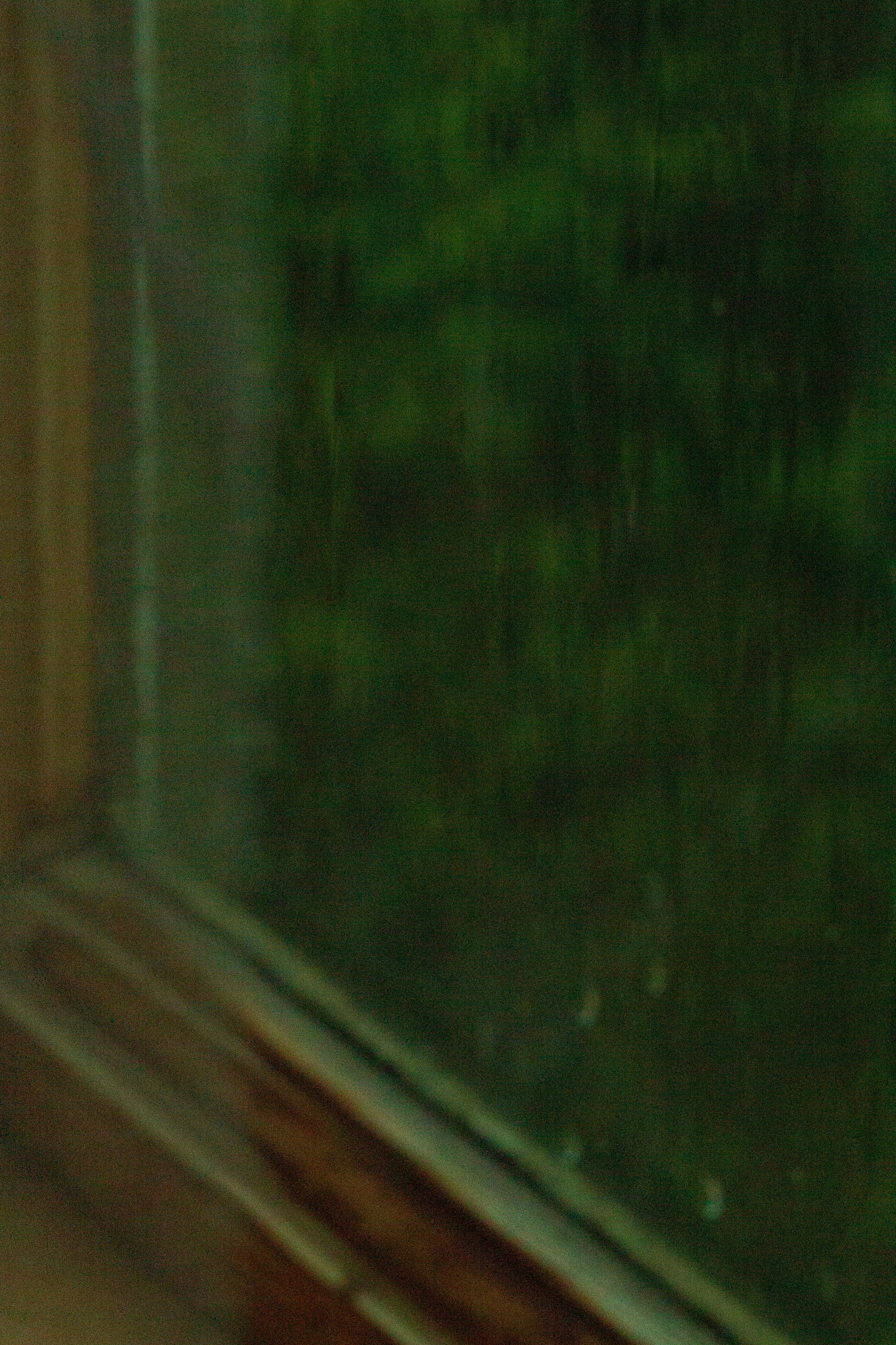 Dacha vibes. Папка кадров 📁