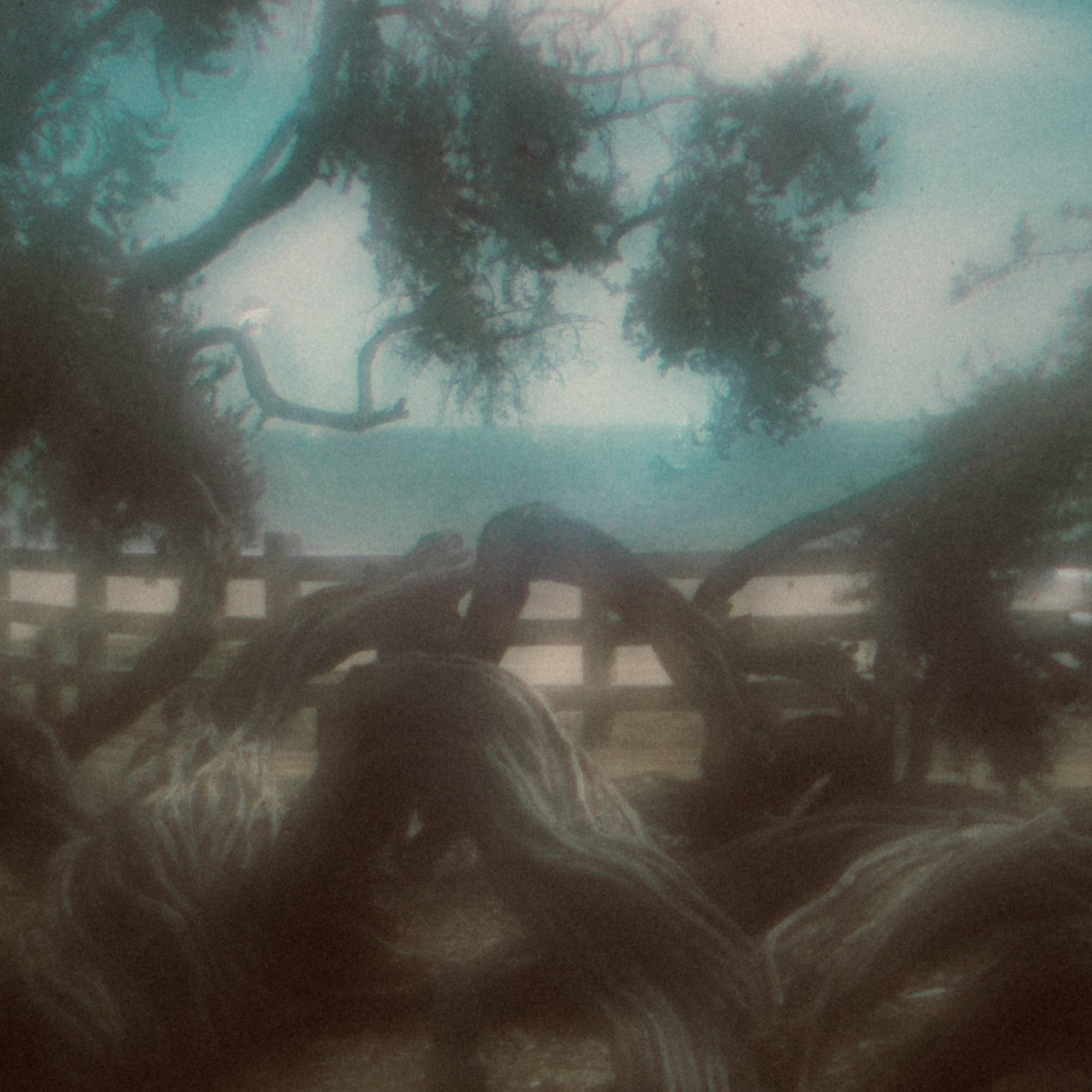 LOS ANGELES. Eduard Kopysov — International visual artist