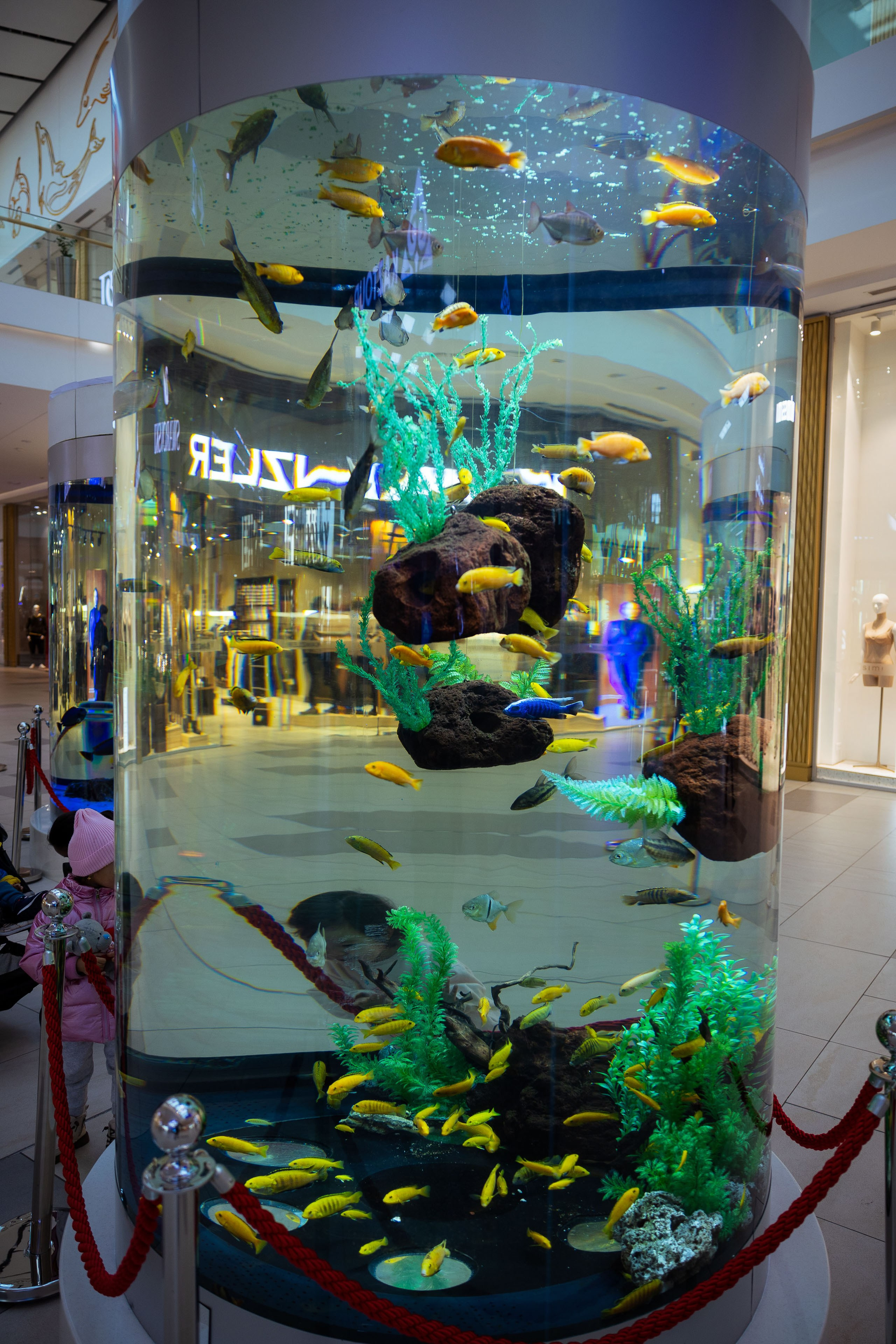 Казахстан (осень 2024). Фотограф Виноградов Константин