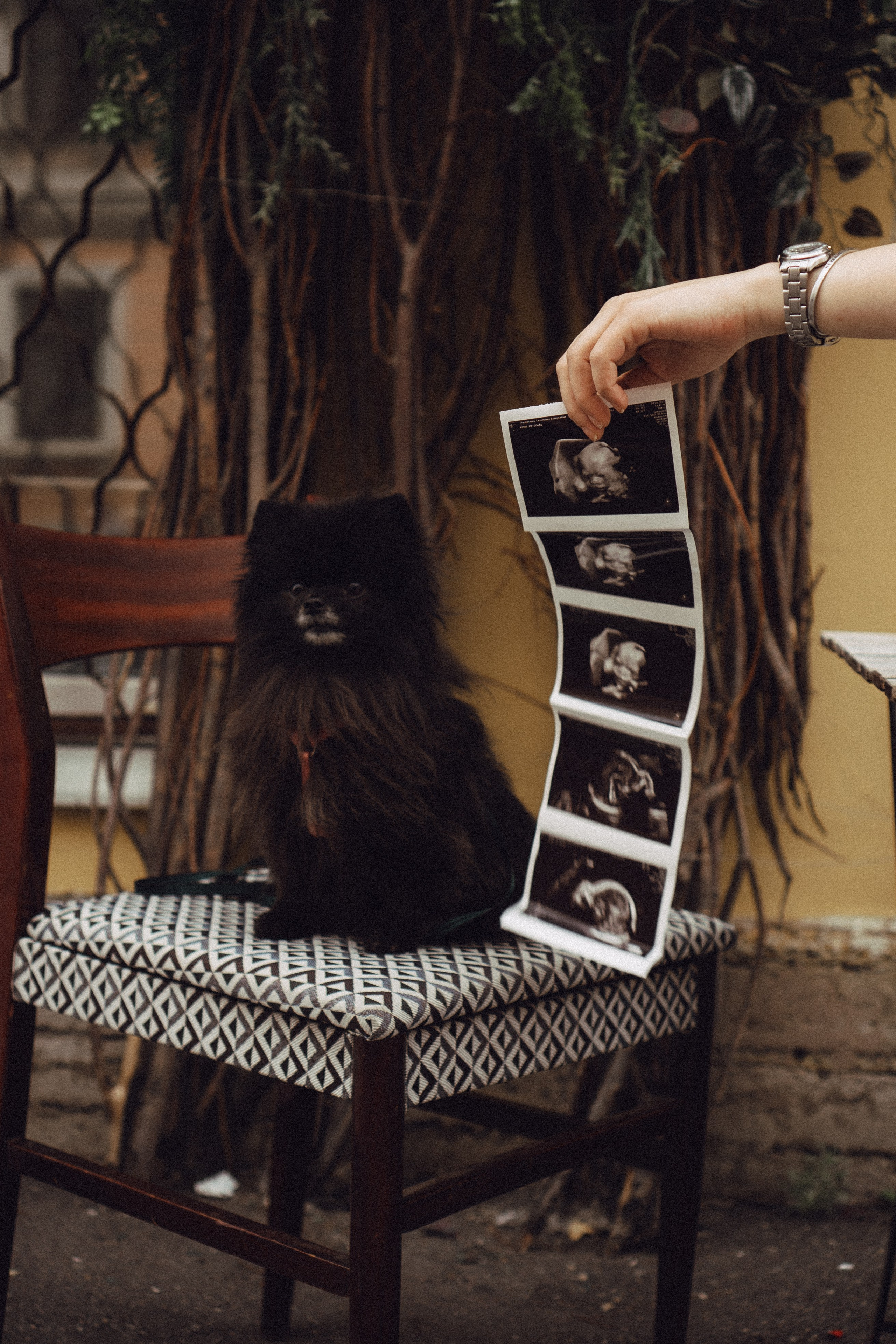 Беременность (только часть фото по желанию клиентов могу показать)). Профессиональный фотограф, Санкт-Петербург — Виктория Богомолова