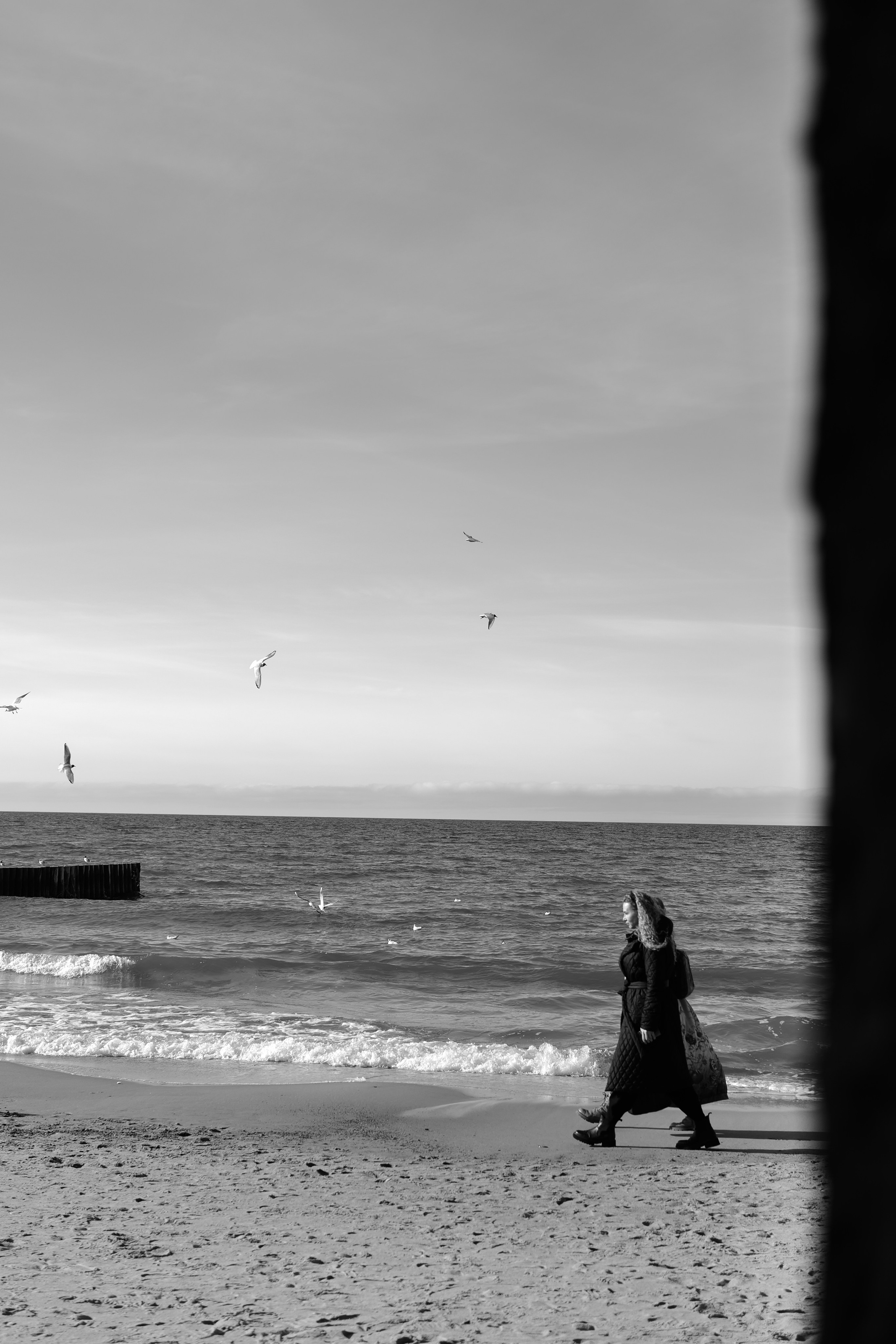 Zelenogradsk. Фотограф София Комкина