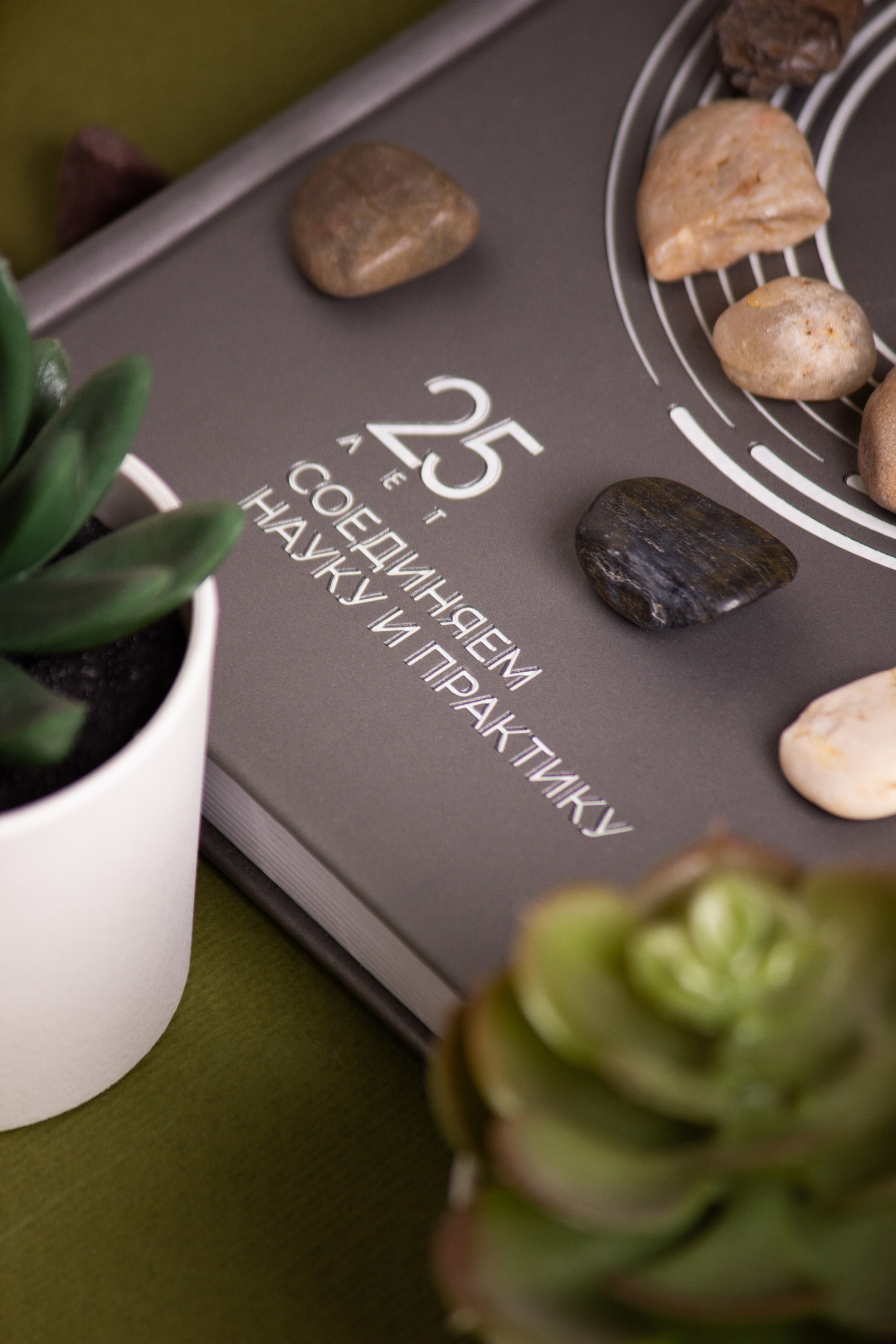 Щелково. Фуд-фотограф в Москве | Профессиональная съемка блюд и еды | Горбачёв Виталий