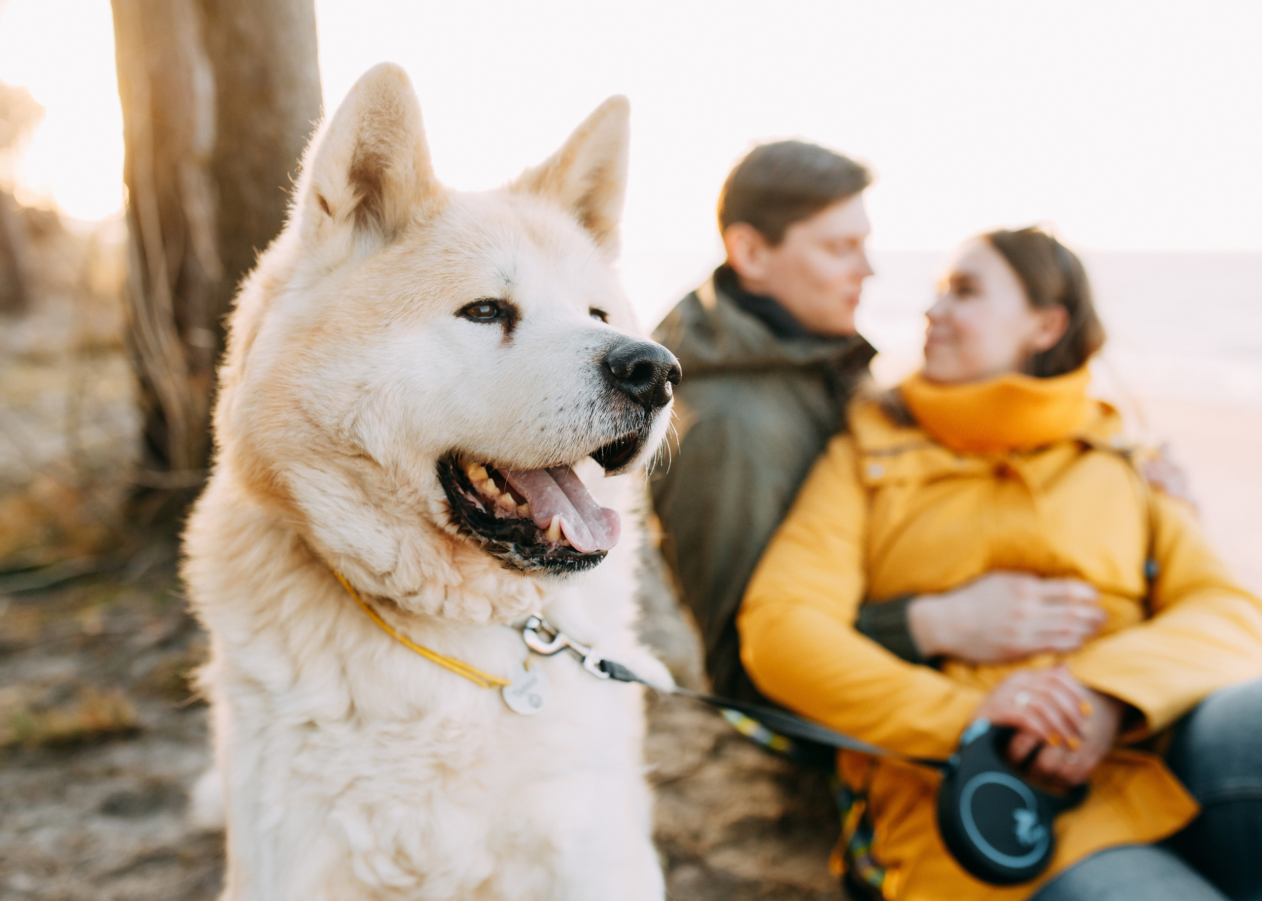 Прогулка в Куликово • Весна 2022. Фотограф в Калининграде Екатерина Осинцева
