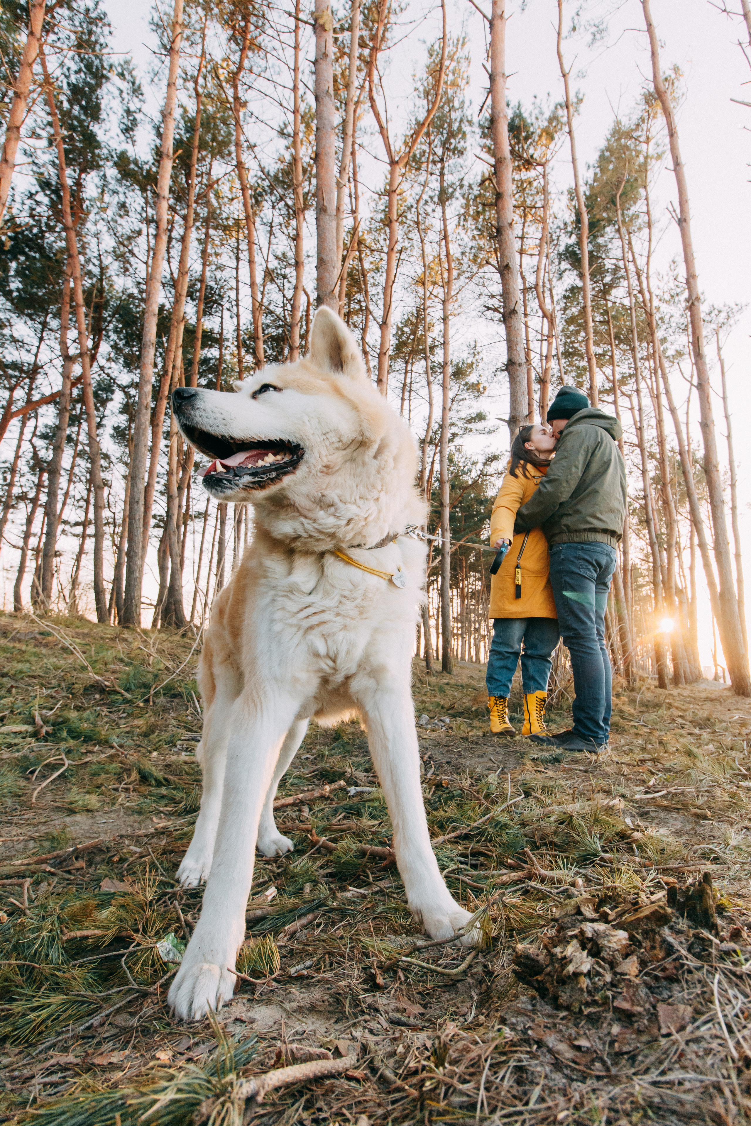 Прогулка в Куликово • Весна 2022. Фотограф в Калининграде Екатерина Осинцева