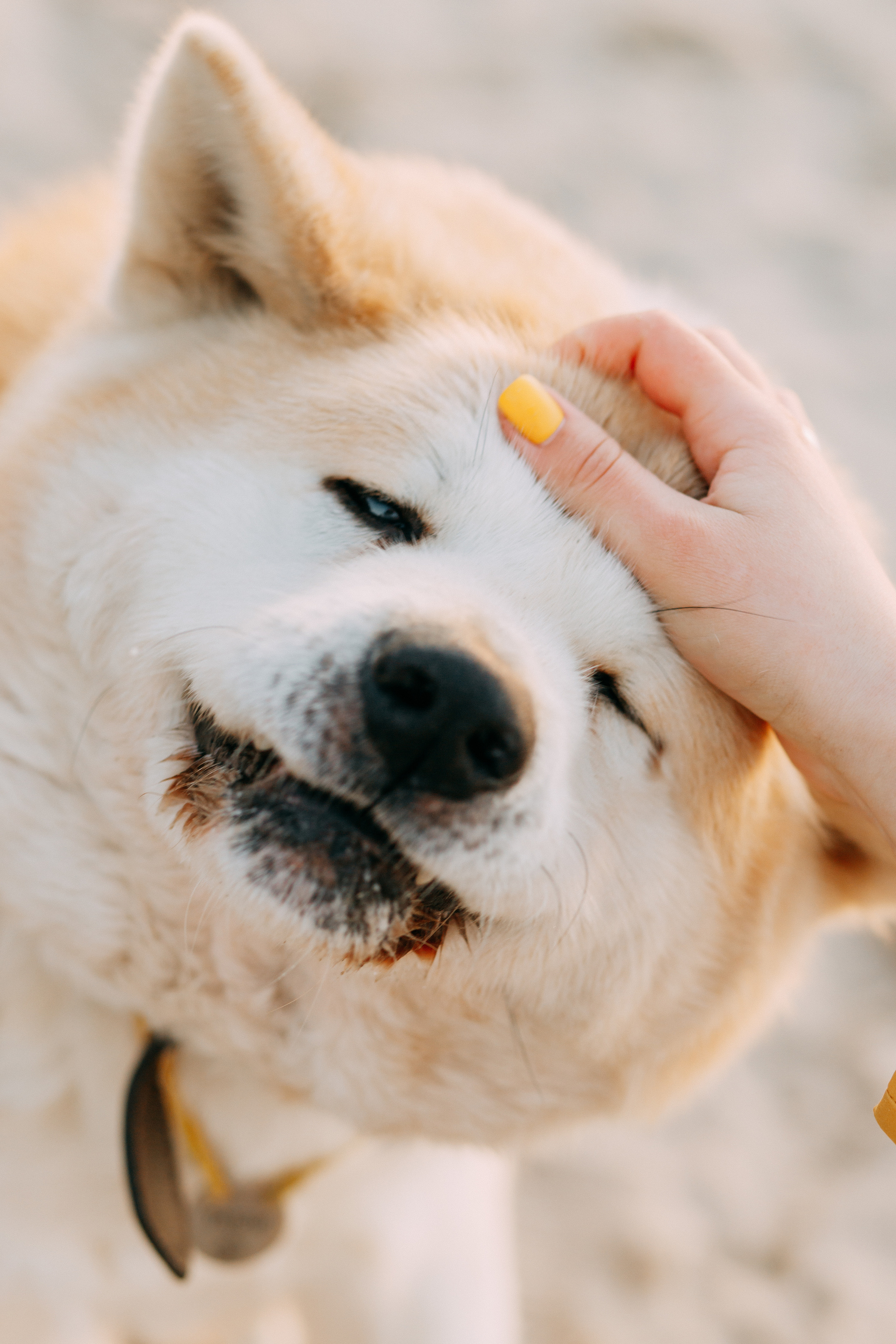 Прогулка в Куликово • Весна 2022. Фотограф в Калининграде Екатерина Осинцева