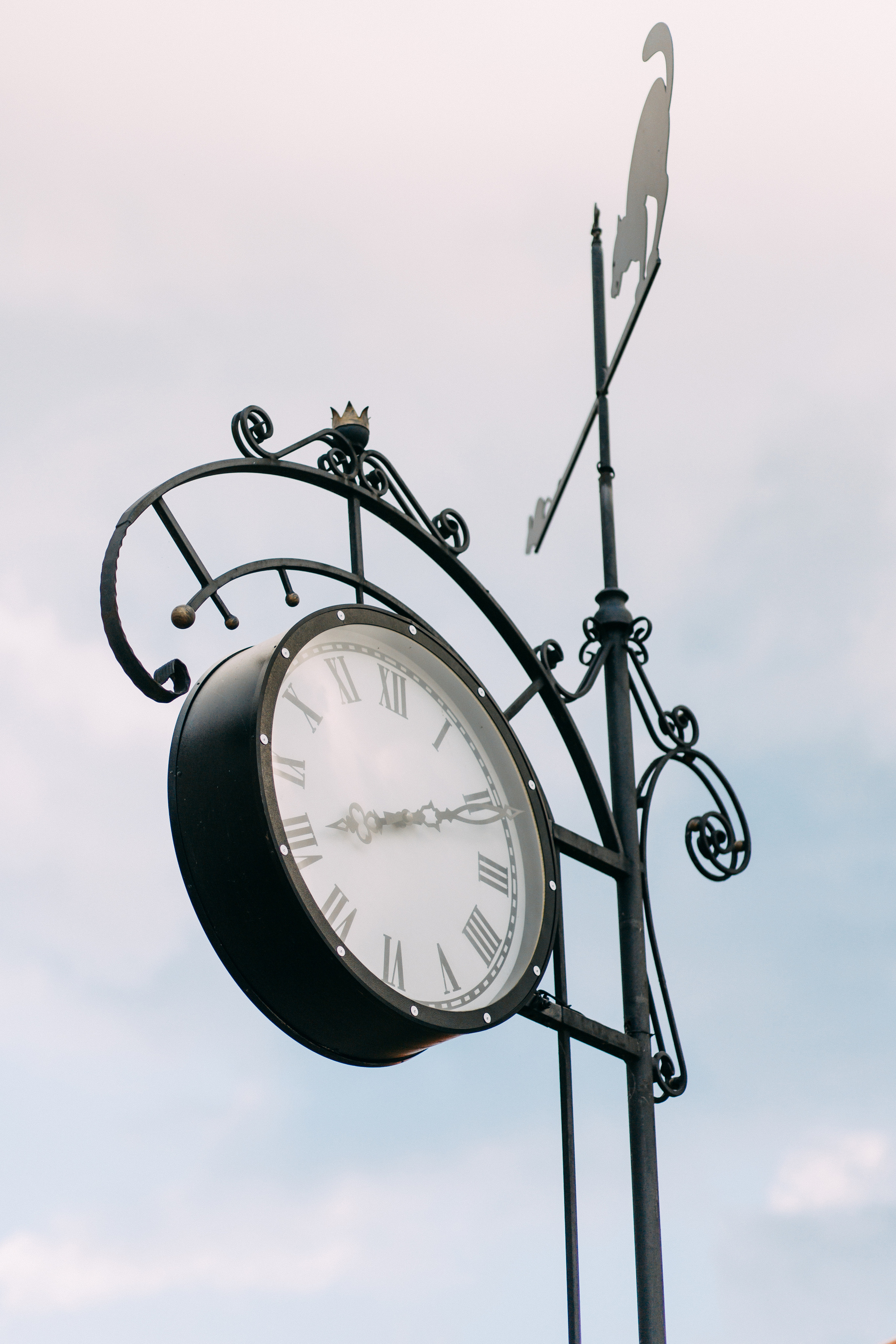 Свидание на Балтике • Лето 2021. Фотограф в Калининграде Екатерина Осинцева