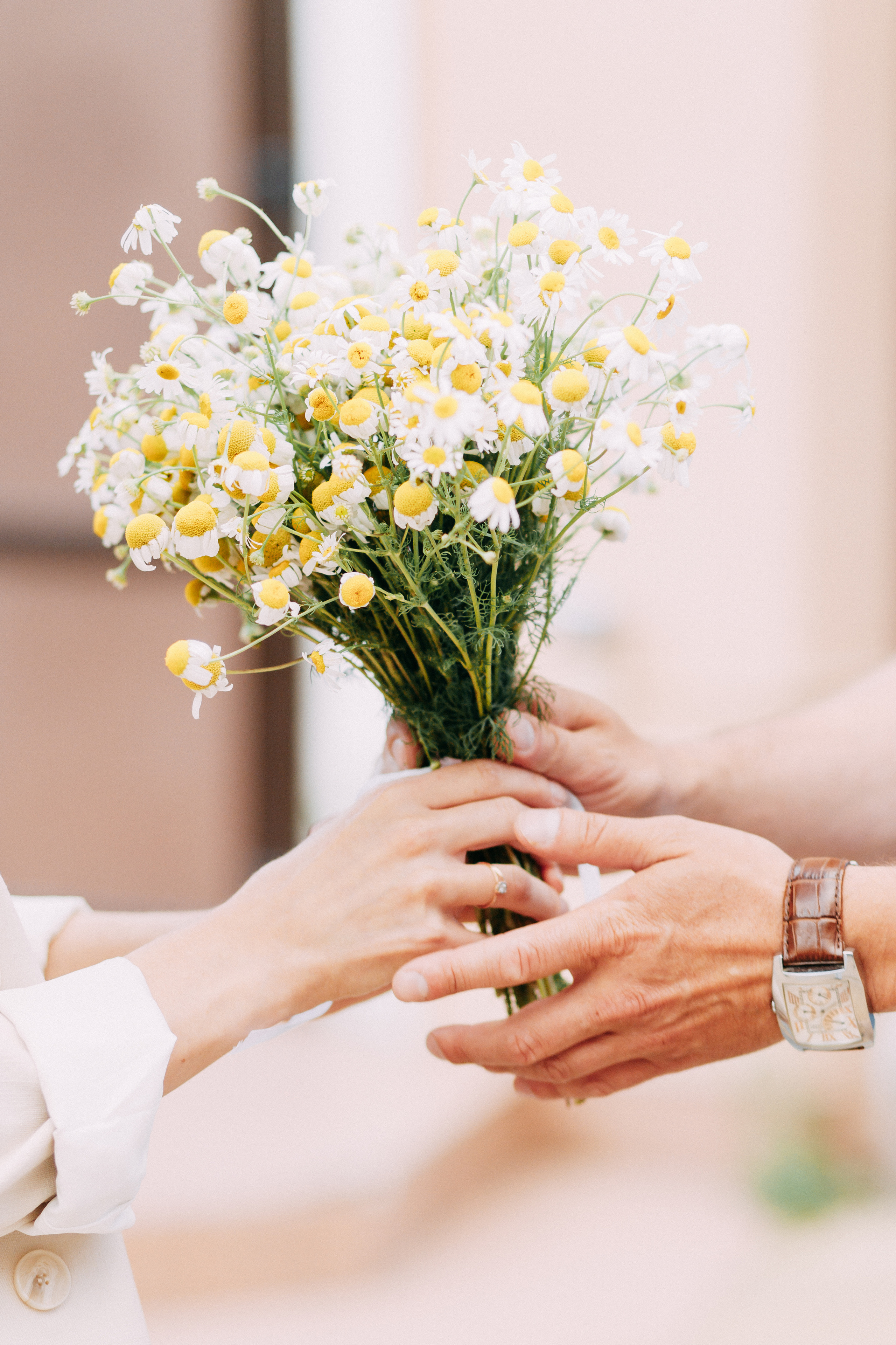 Свидание на Балтике • Лето 2021. Фотограф в Калининграде Екатерина Осинцева