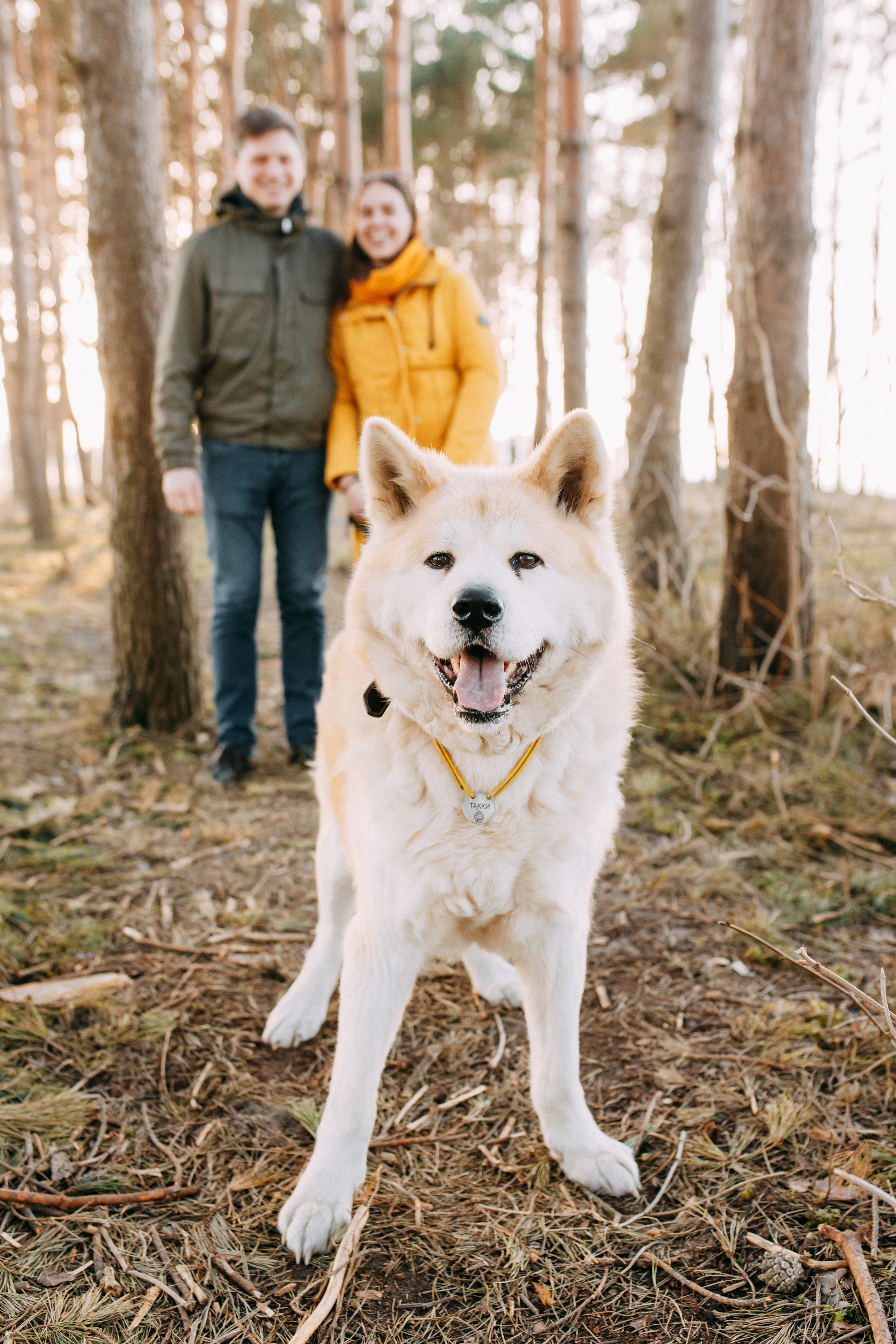 Прогулка в Куликово • Весна 2022. Фотограф в Калининграде Екатерина Осинцева