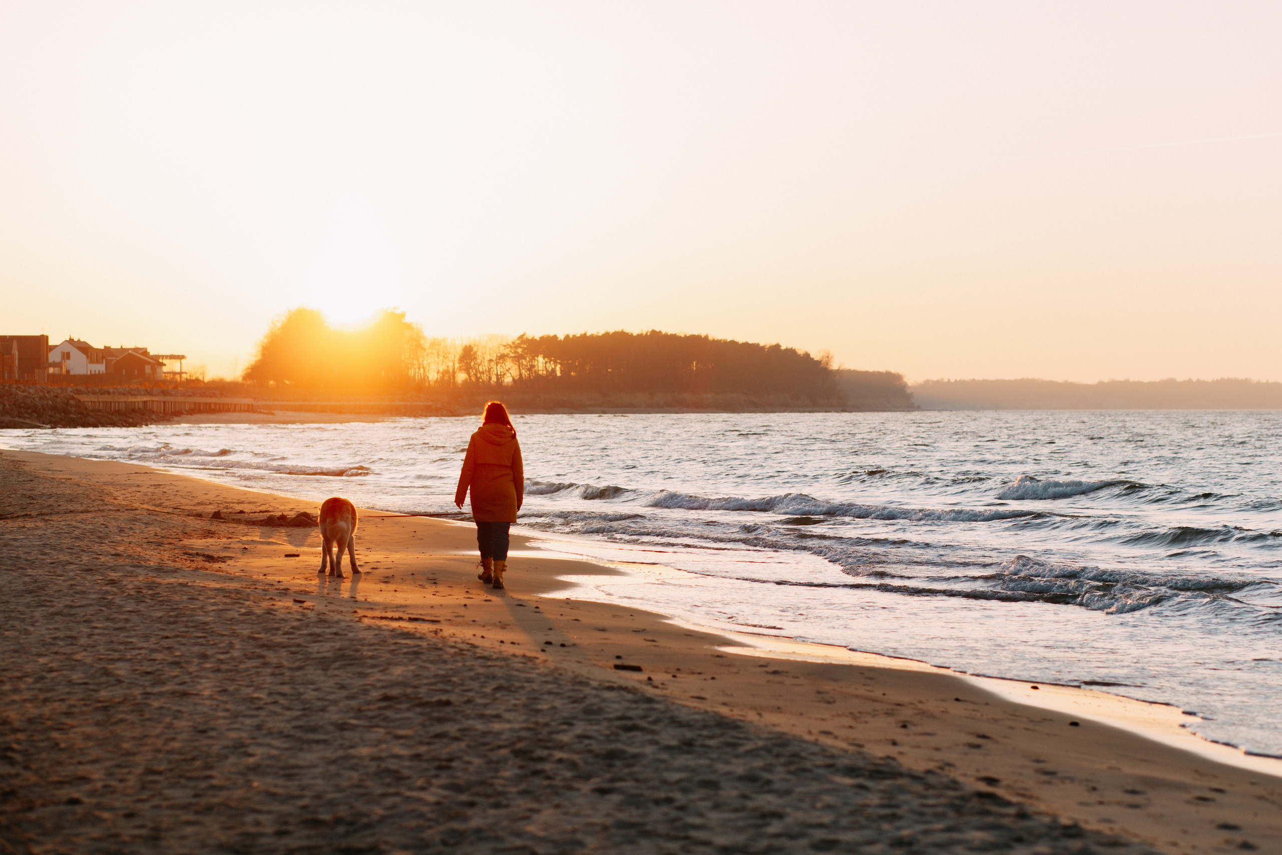Прогулка в Куликово • Весна 2022. Фотограф в Калининграде Екатерина Осинцева