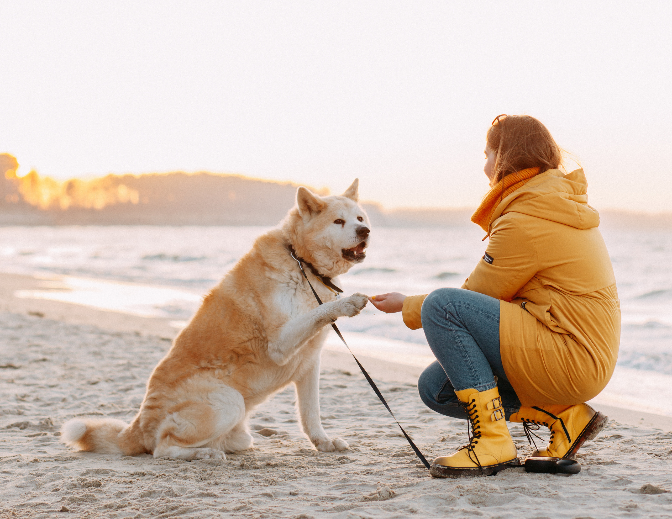 Прогулка в Куликово • Весна 2022. Фотограф в Калининграде Екатерина Осинцева