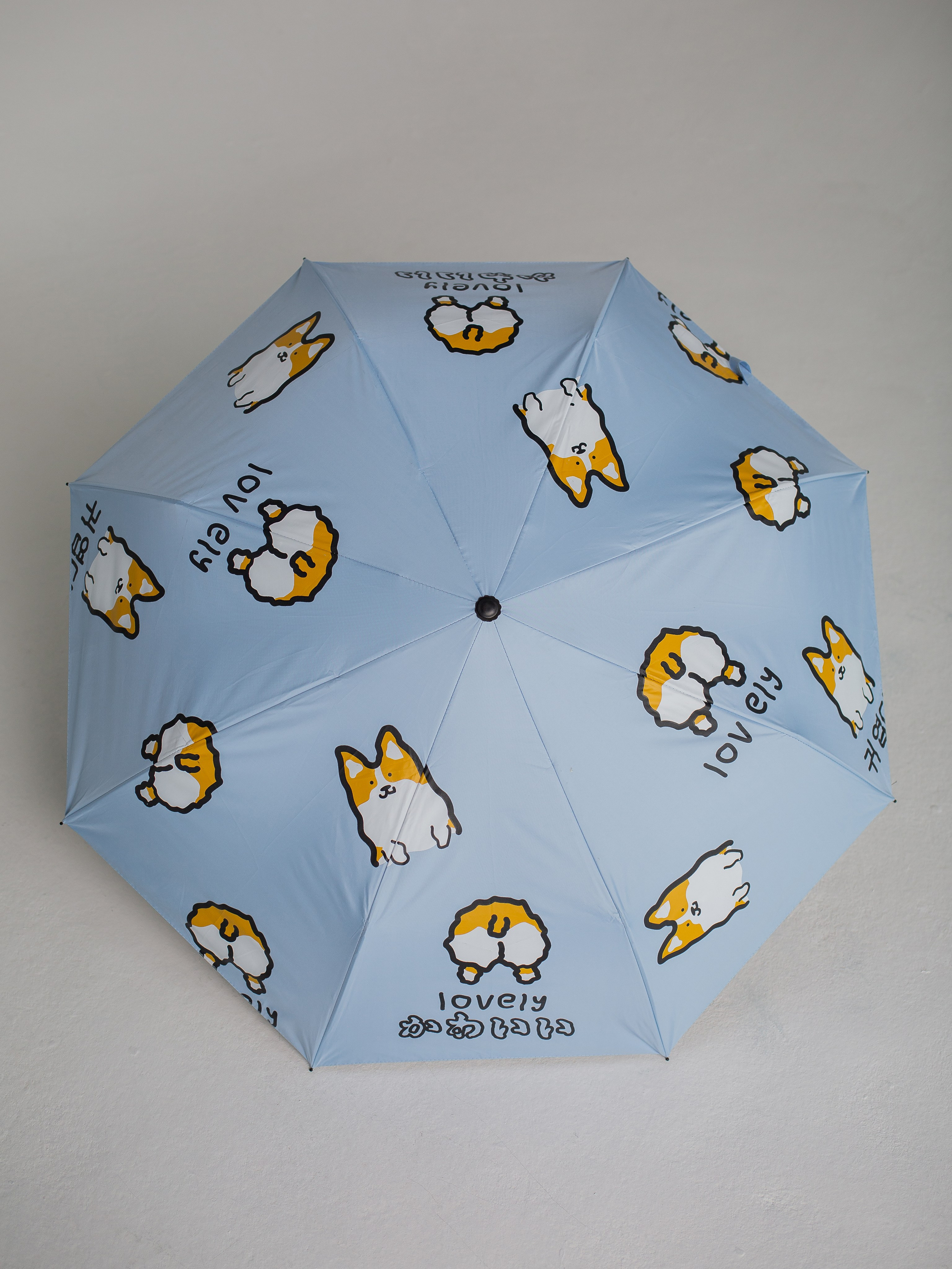 Зонты. Семейный фотограф Николаева Ольга