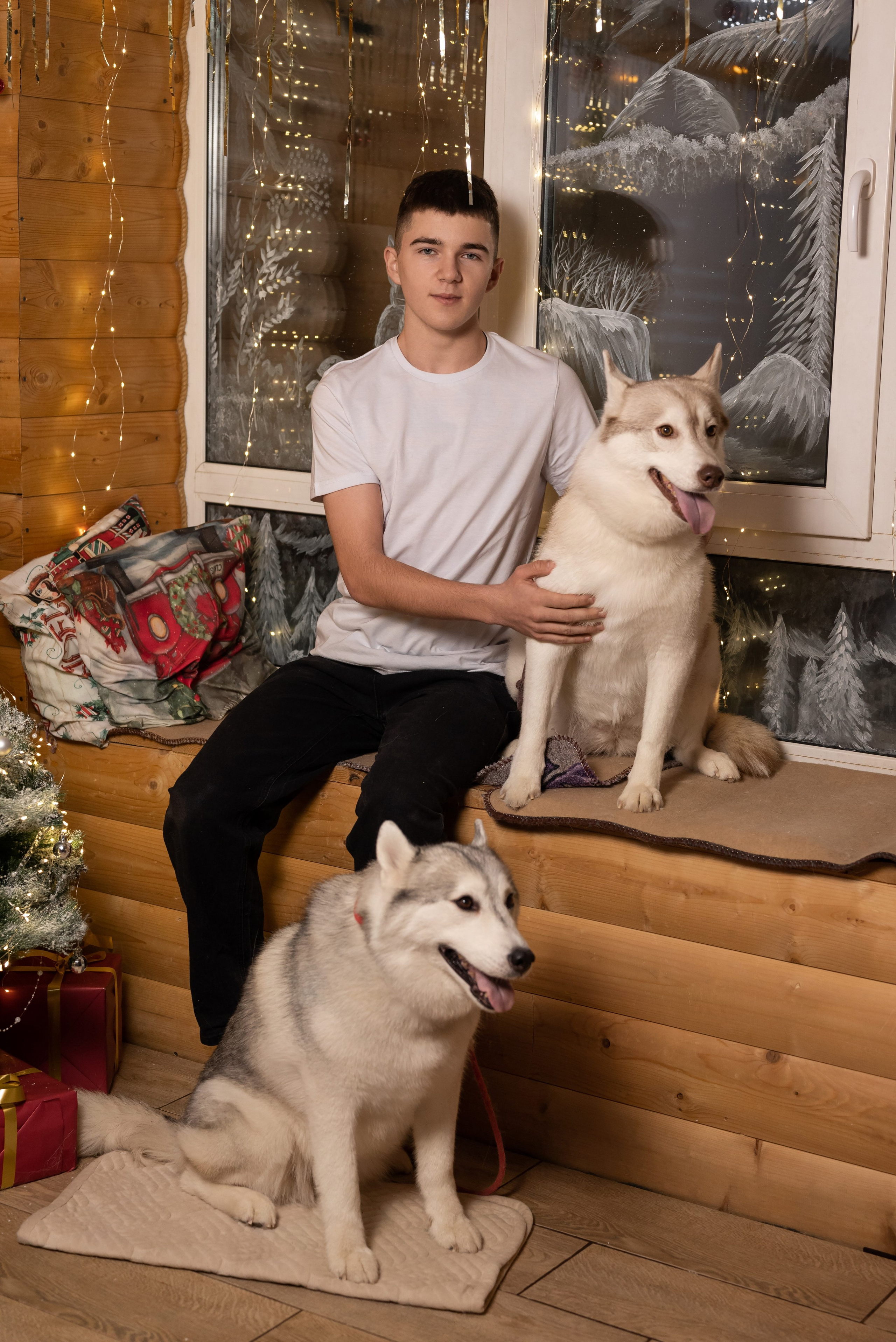 Фотопроект с хаски в частном доме. Фотограф в городе Салават