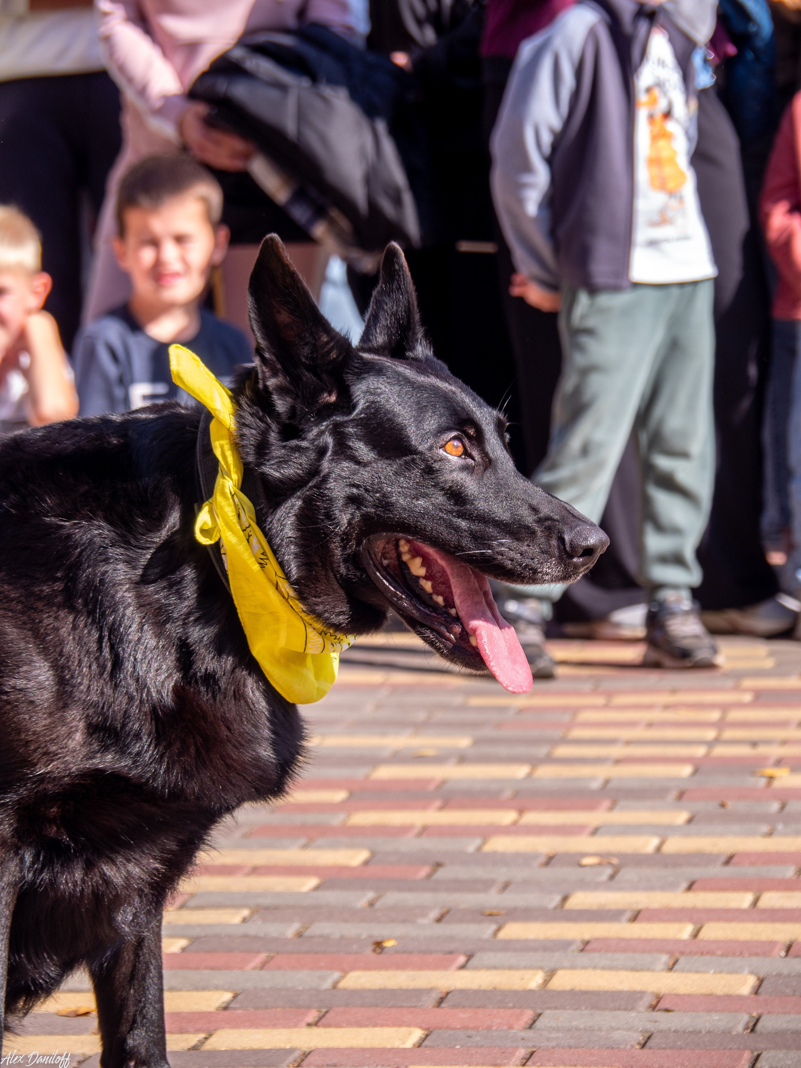 Обнимака 2025. Муром-Инфо. Новости культуры, образования, спорта в городе Муром