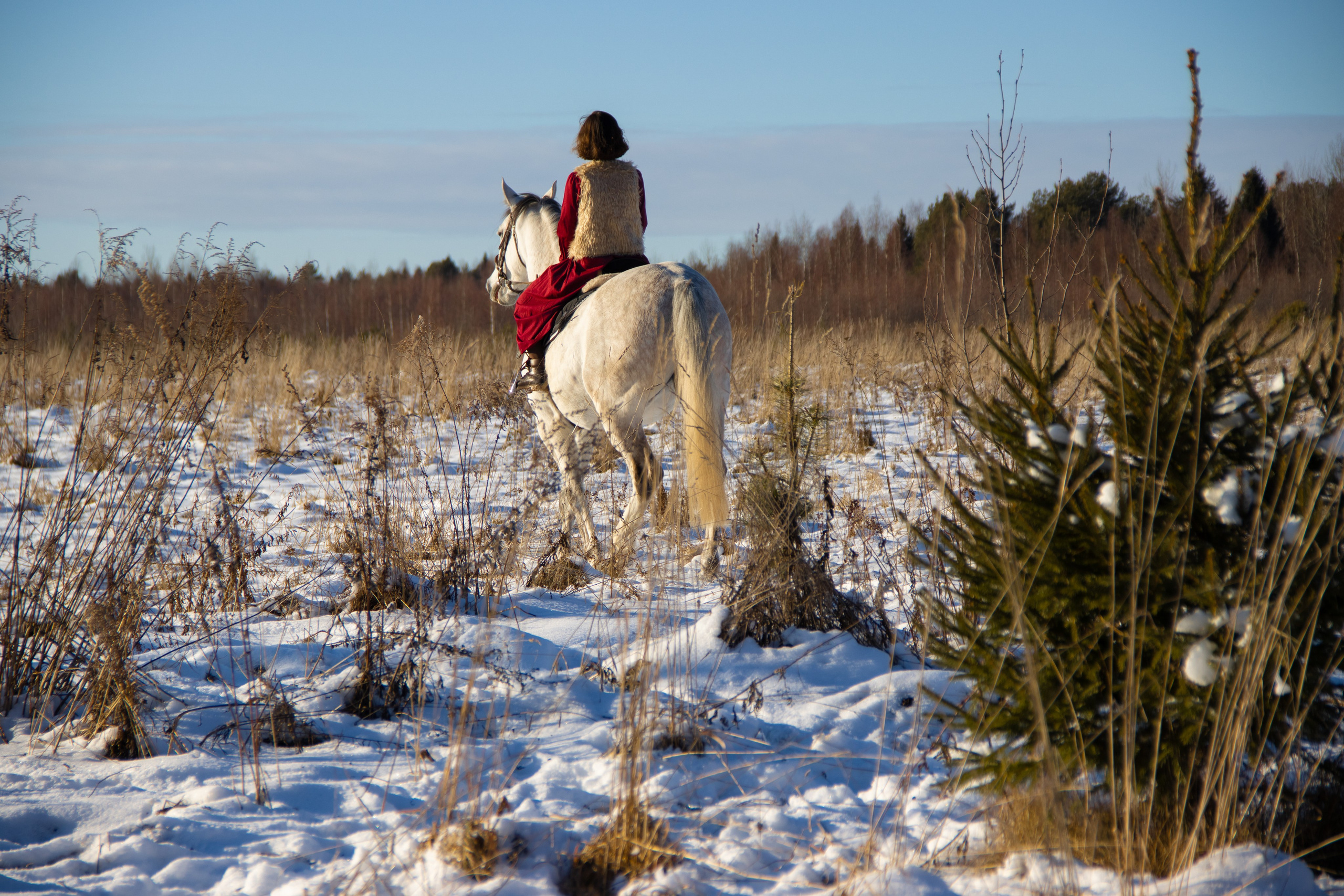 Юная красавица на коне. Фотограф в Москве Юлия Карпова