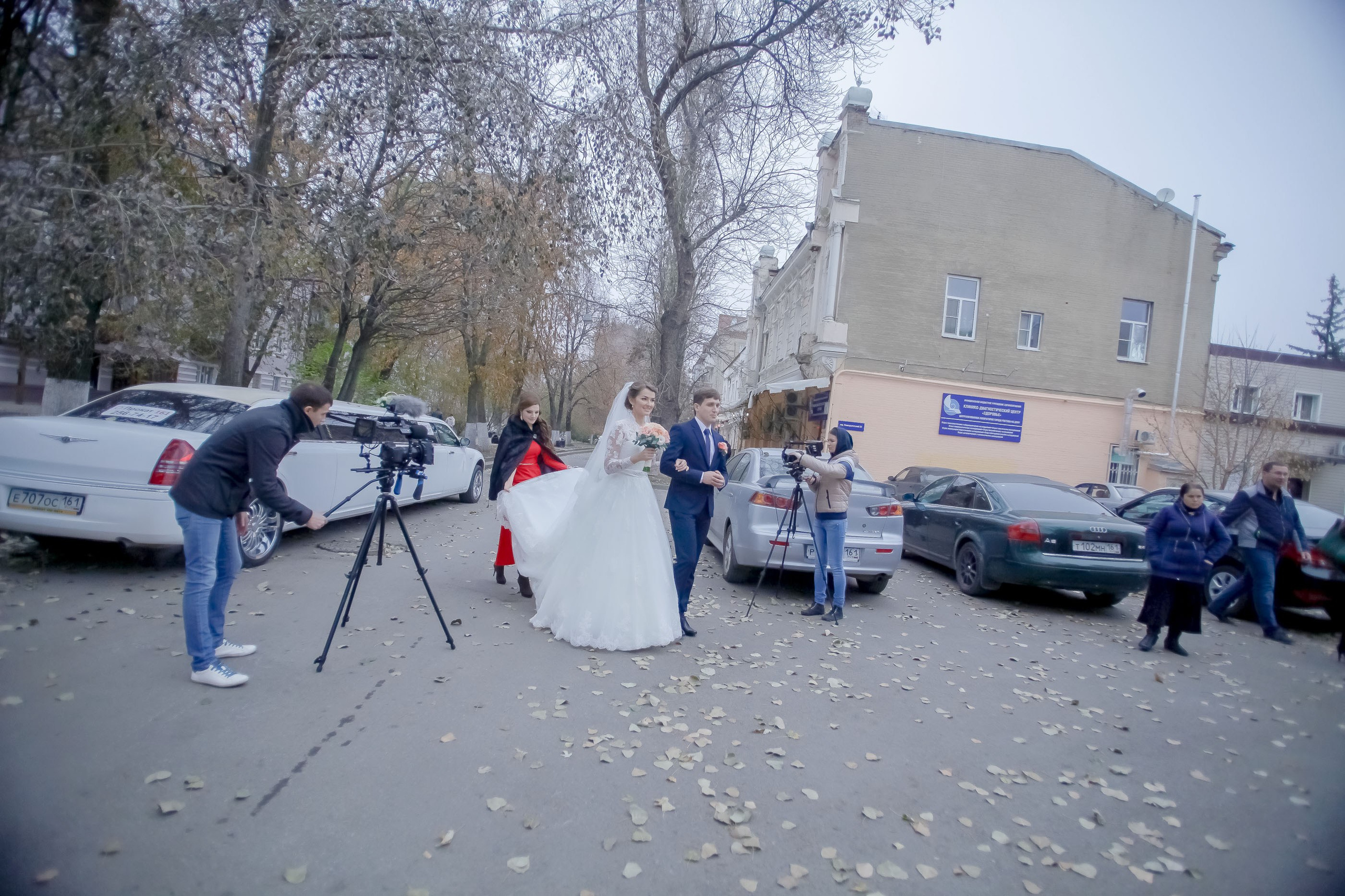 Регистрация/Register. Максим Матвийченко и Виктория Басова профессионалы своего дела