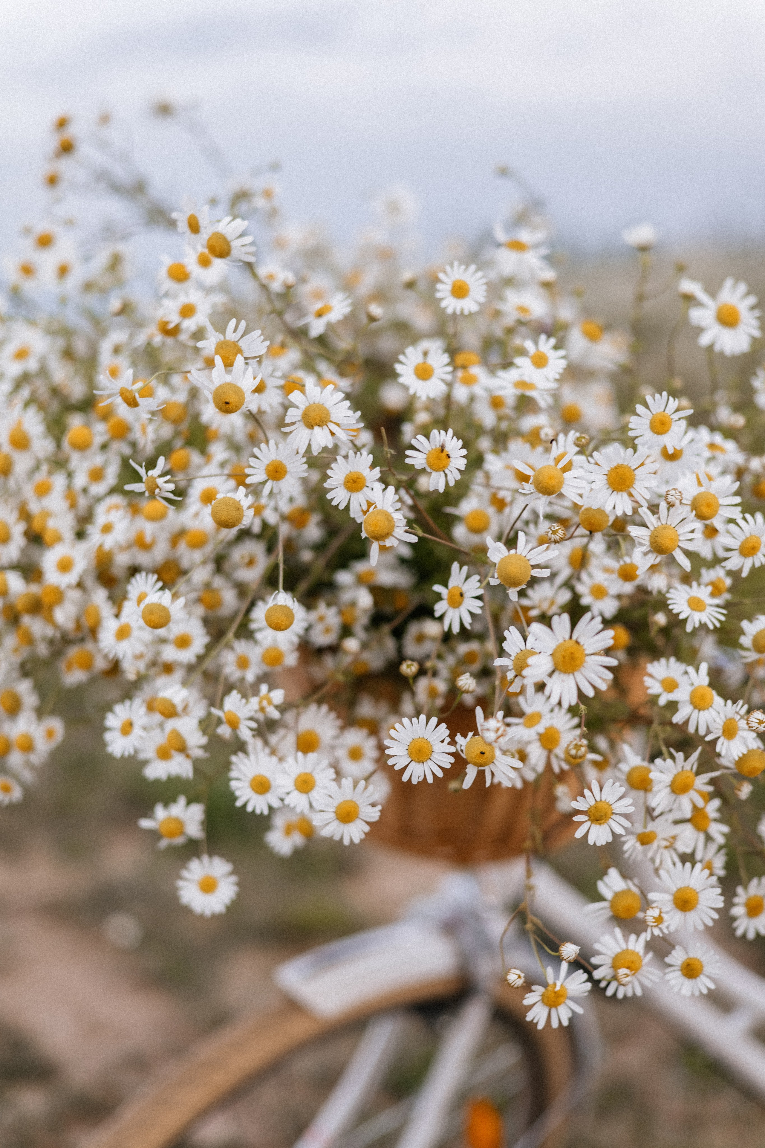 Локации в Минске. Светлана Ванцлав — фотограф Минск, Беларусь