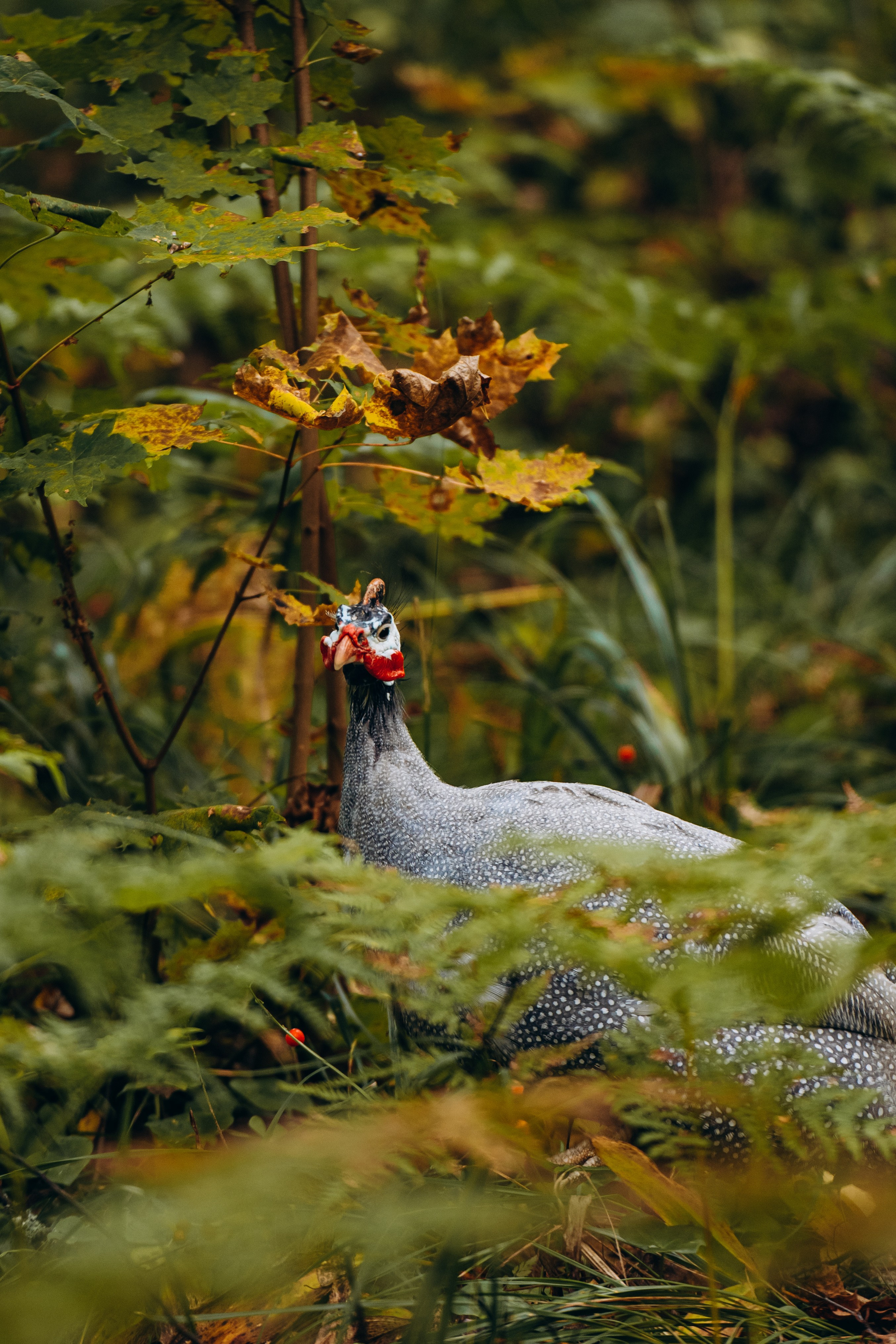СЕВЕР. Event фотограф Степанова Александра