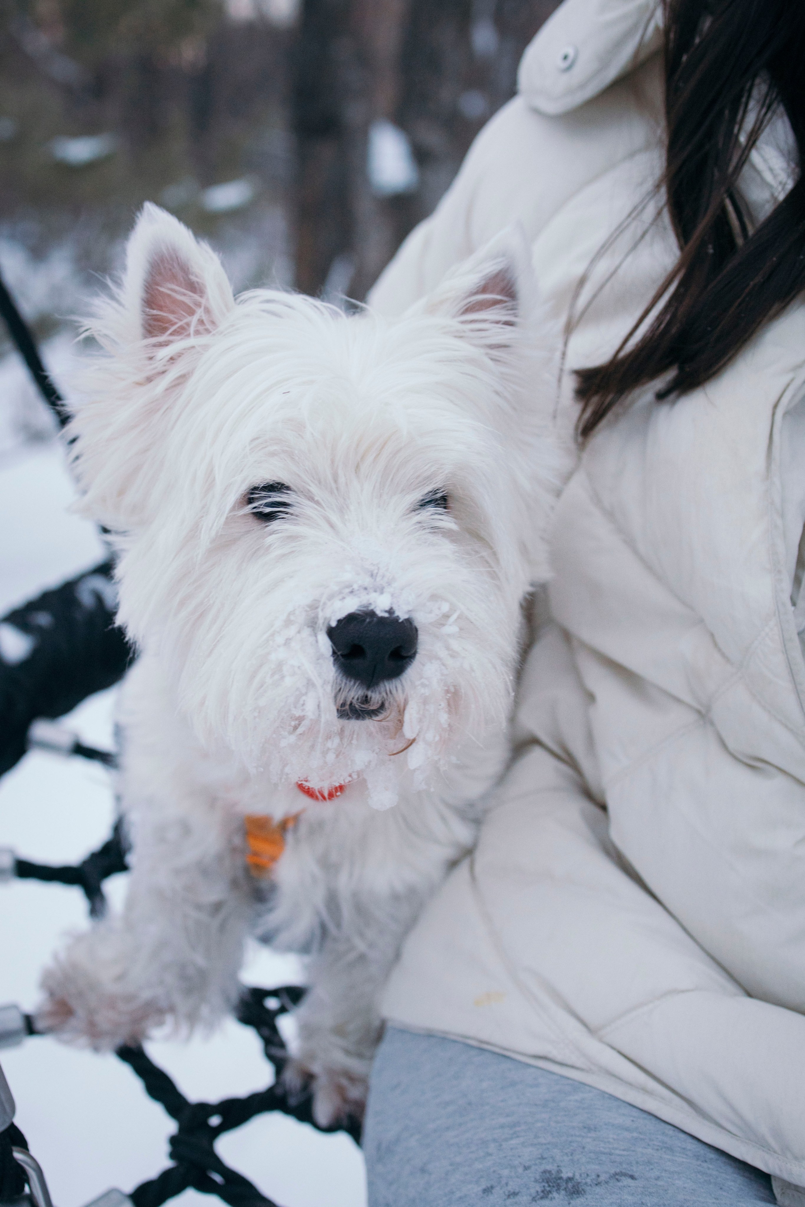 Арина и Обеликс. Фотограф Виктория Куприянова