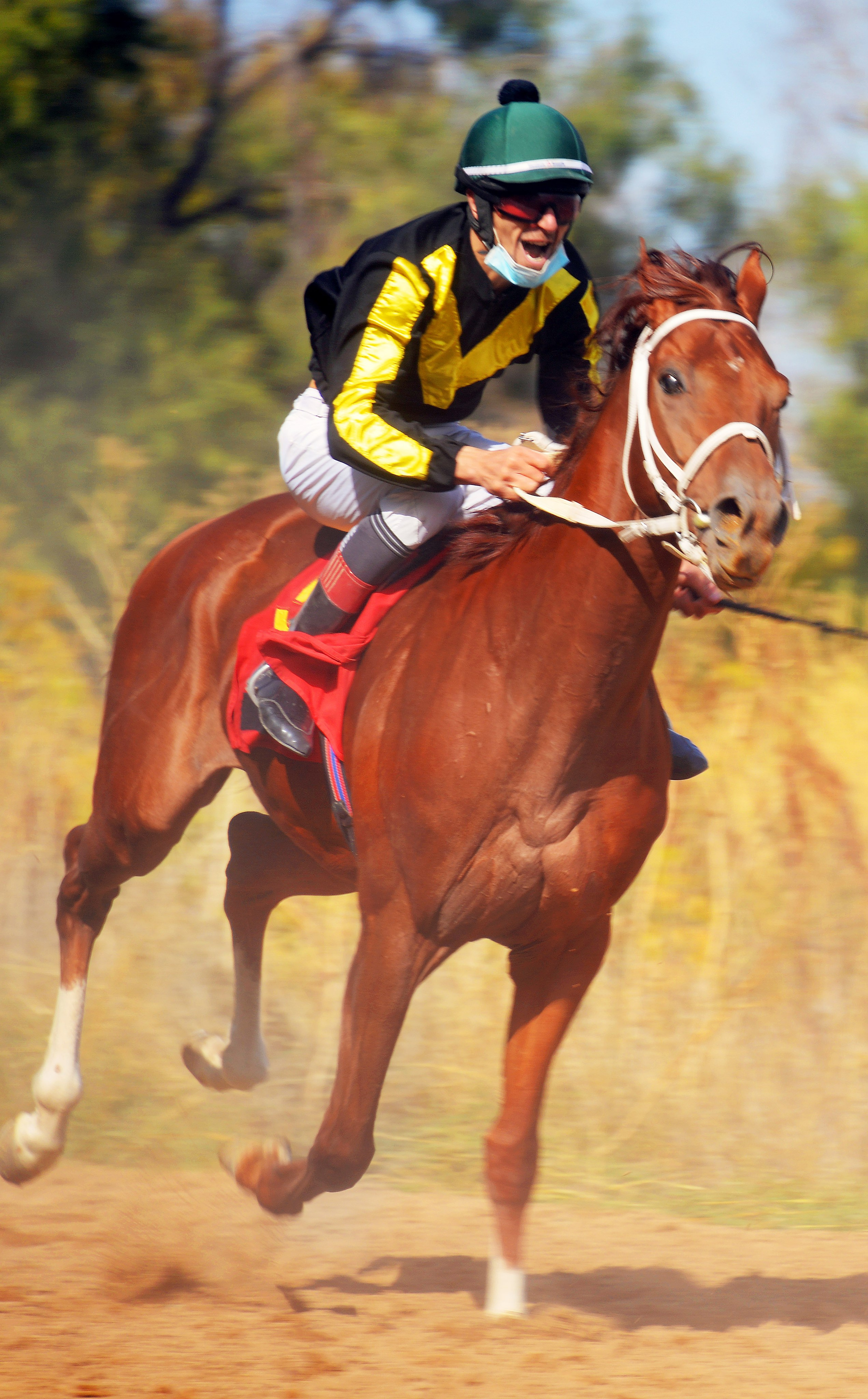 Скачки. Фотосъёмка. Фотограф Сергей Авдеев-семейный и детский фотограф в Алматы
