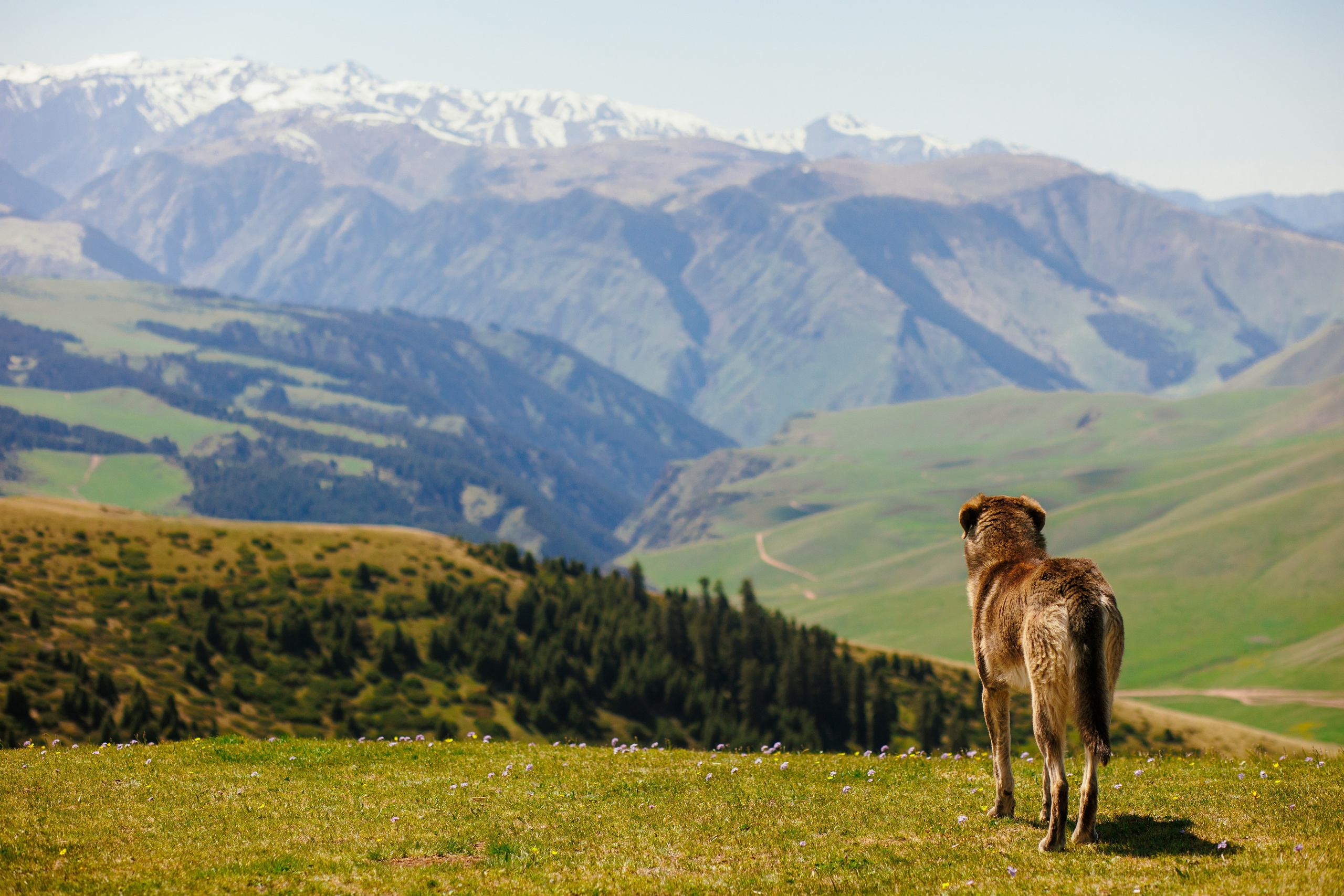 Плато Ассы, озеро Иссык и водопад: комфорт-маршрут, джипы, мини-группа. Экскурсии и туры по Алматы