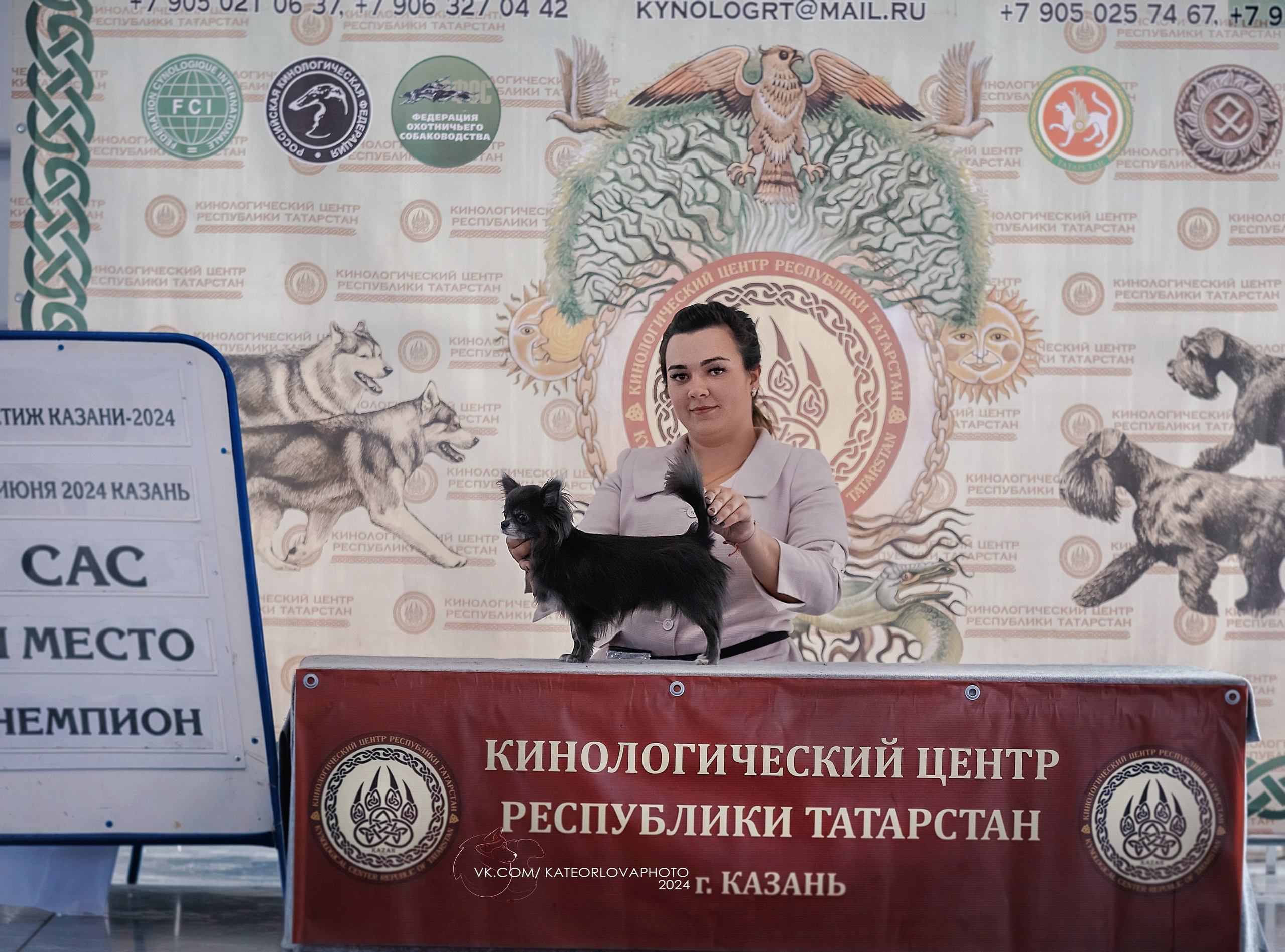 Фотосъемка собак, щенков, на выставках, фотограф анималист Россия воронеж. Питомник собак Акита, Хаски, Корги