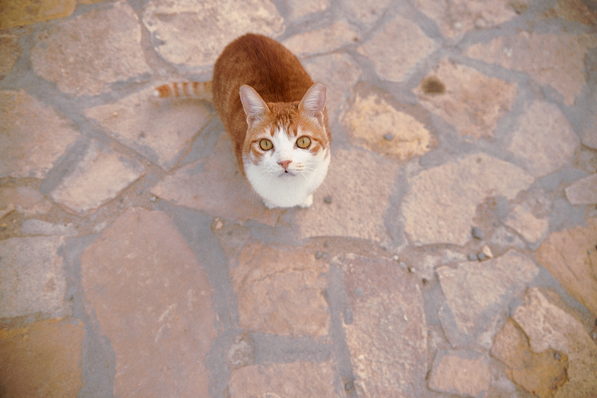 Другое. Jorgis Talè — photographer, kind person, teacher of arts and other mag