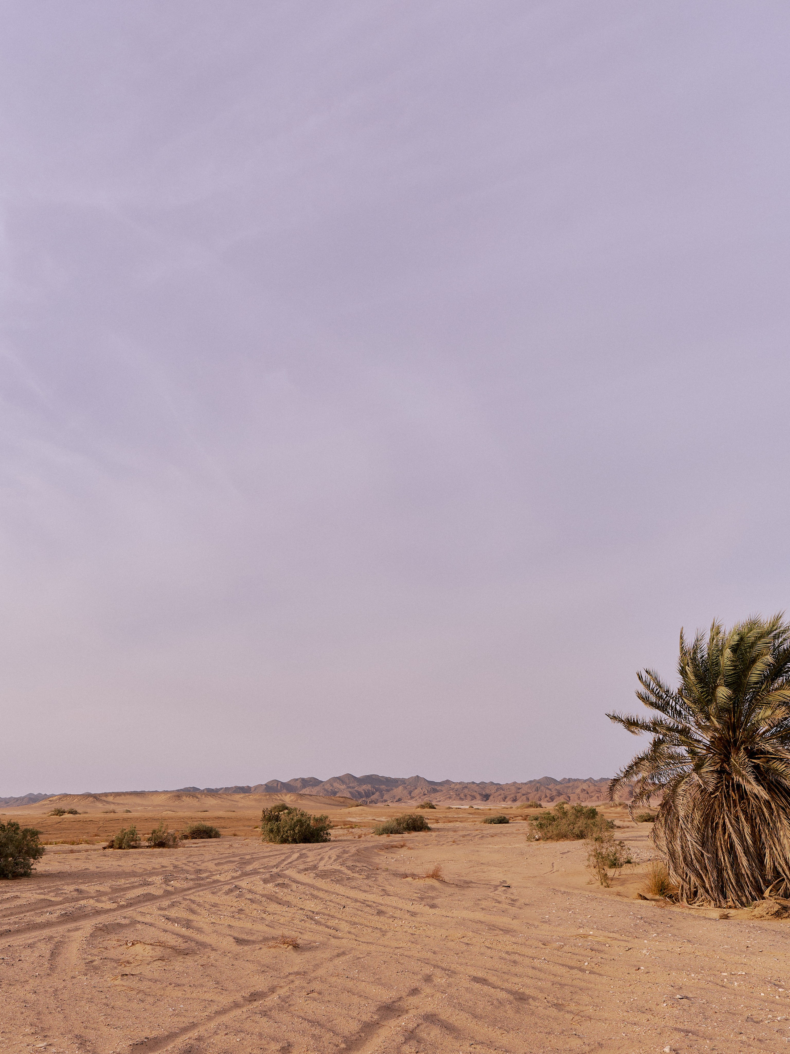 Другое 3. Jorgis Talè — photographer, kind person, teacher of arts and other mag