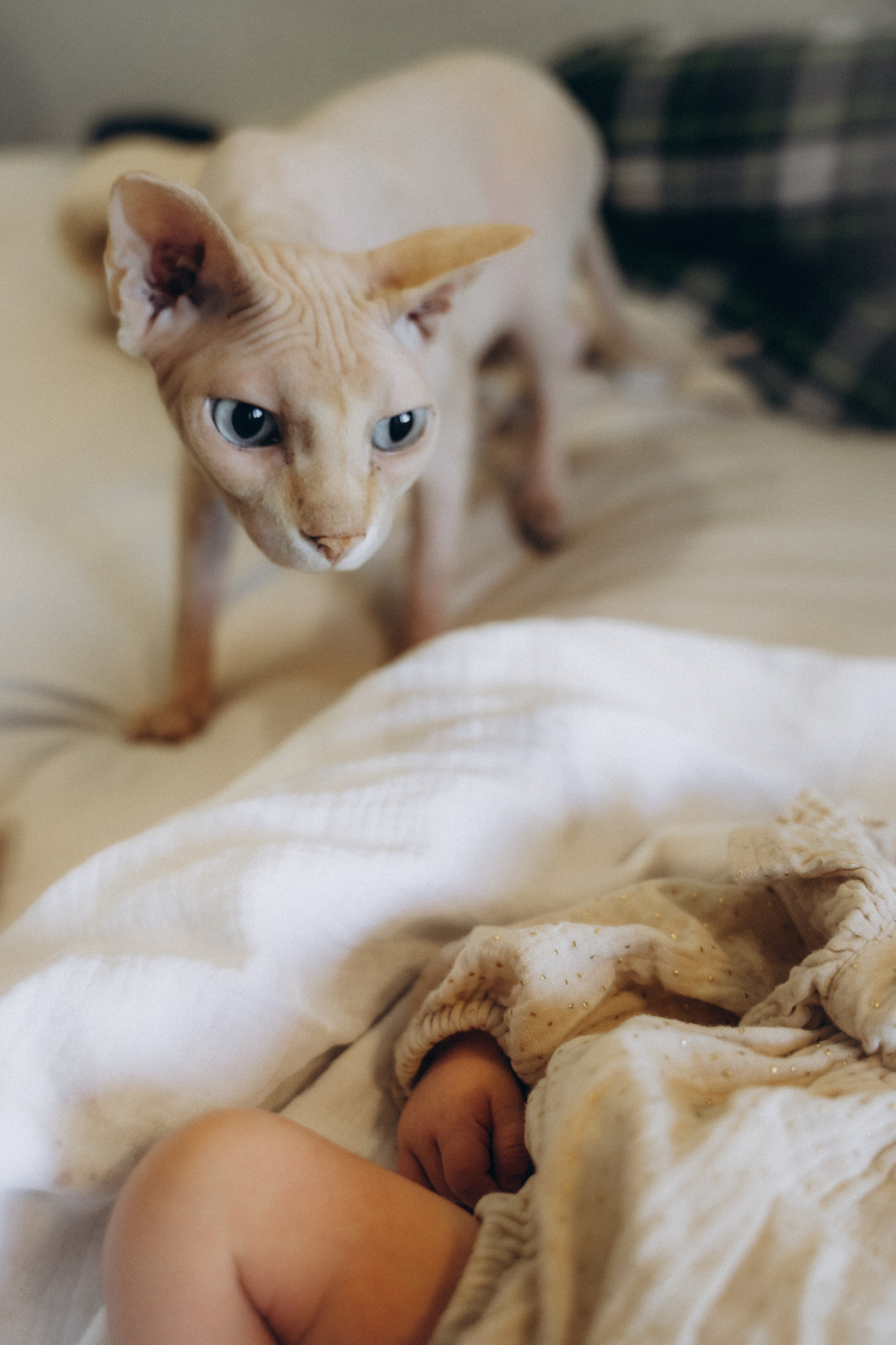 Вика и Дима. Аплас Анастасия