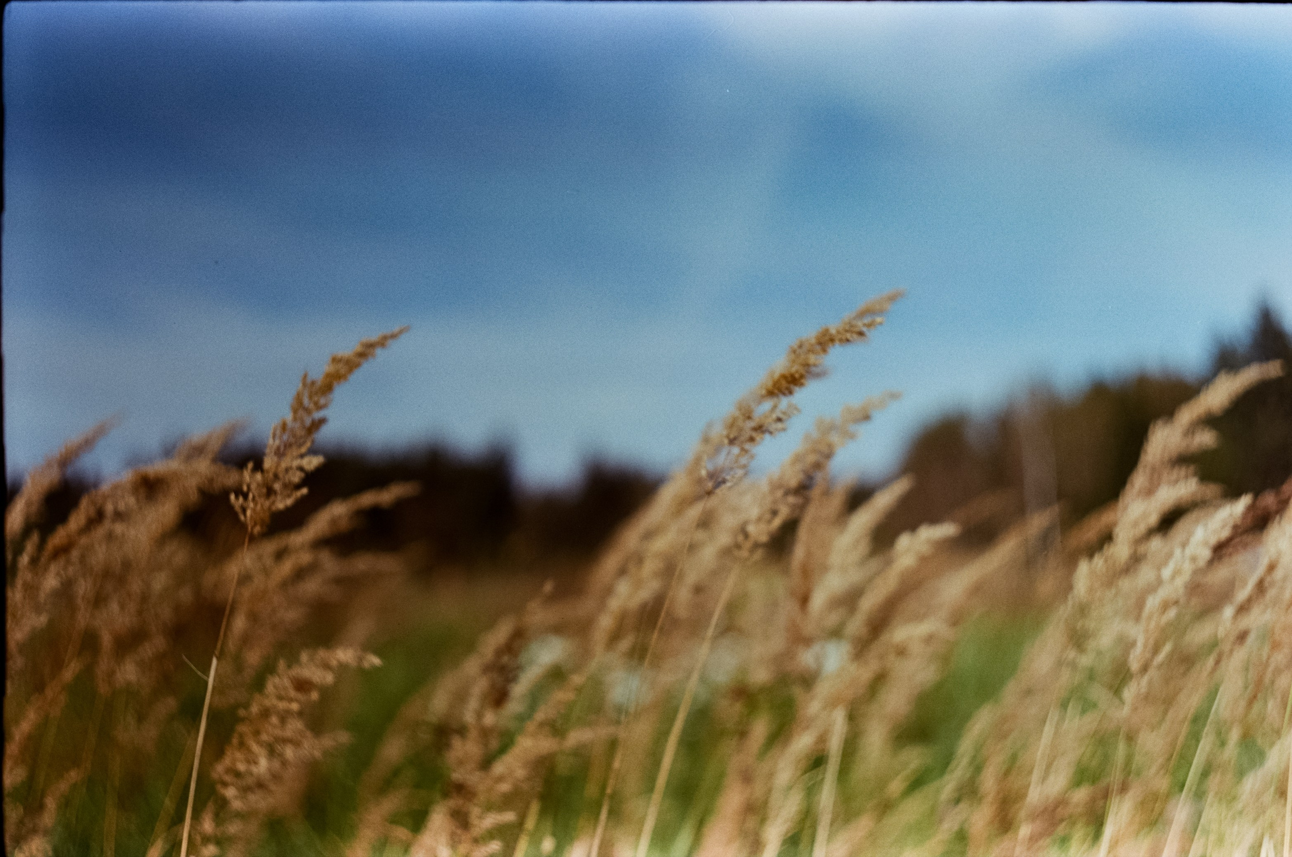 Edixa-MAT REFLEX Mod.D | Carl Zeiss Jena Biotar 58 mm f2 T | SFL 250D