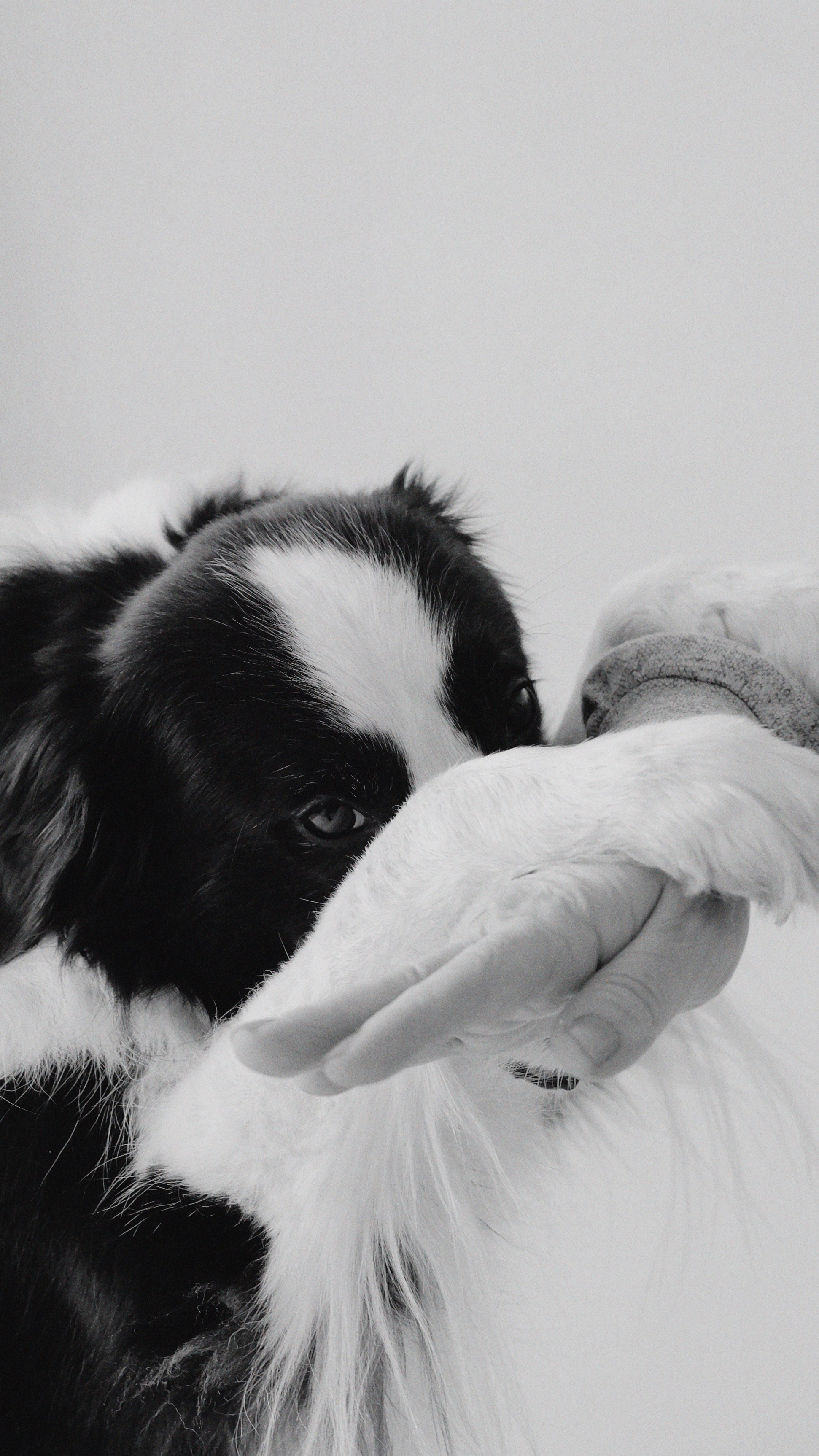 Коммерческие съемки. Фотограф контент-мейкер в Москве