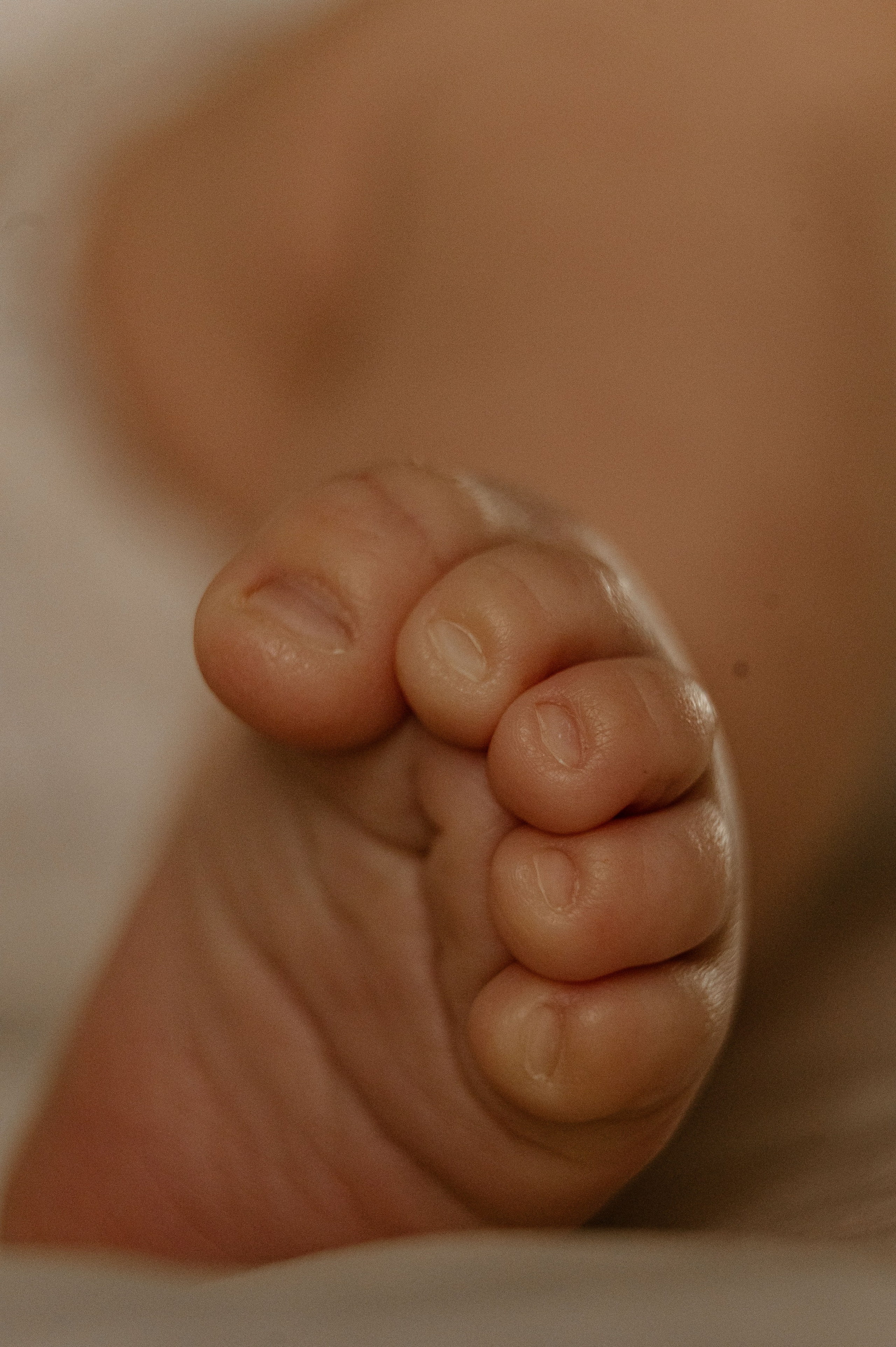 Иван, Ксения и Лев. Фотограф беременности и семьи, домашние съемки, Ньюборн