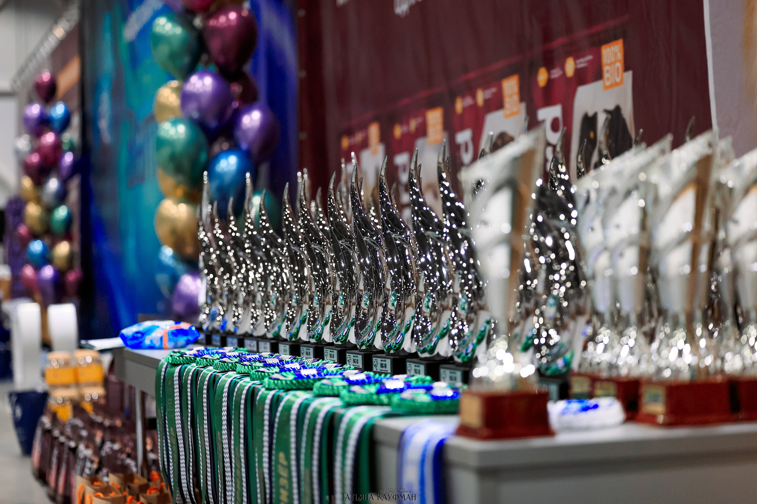 28-29.03.2026 Рейтинговая выставка в Новосибирске. Фотограф Анималист из Новосибирска Татьяна Кауфман