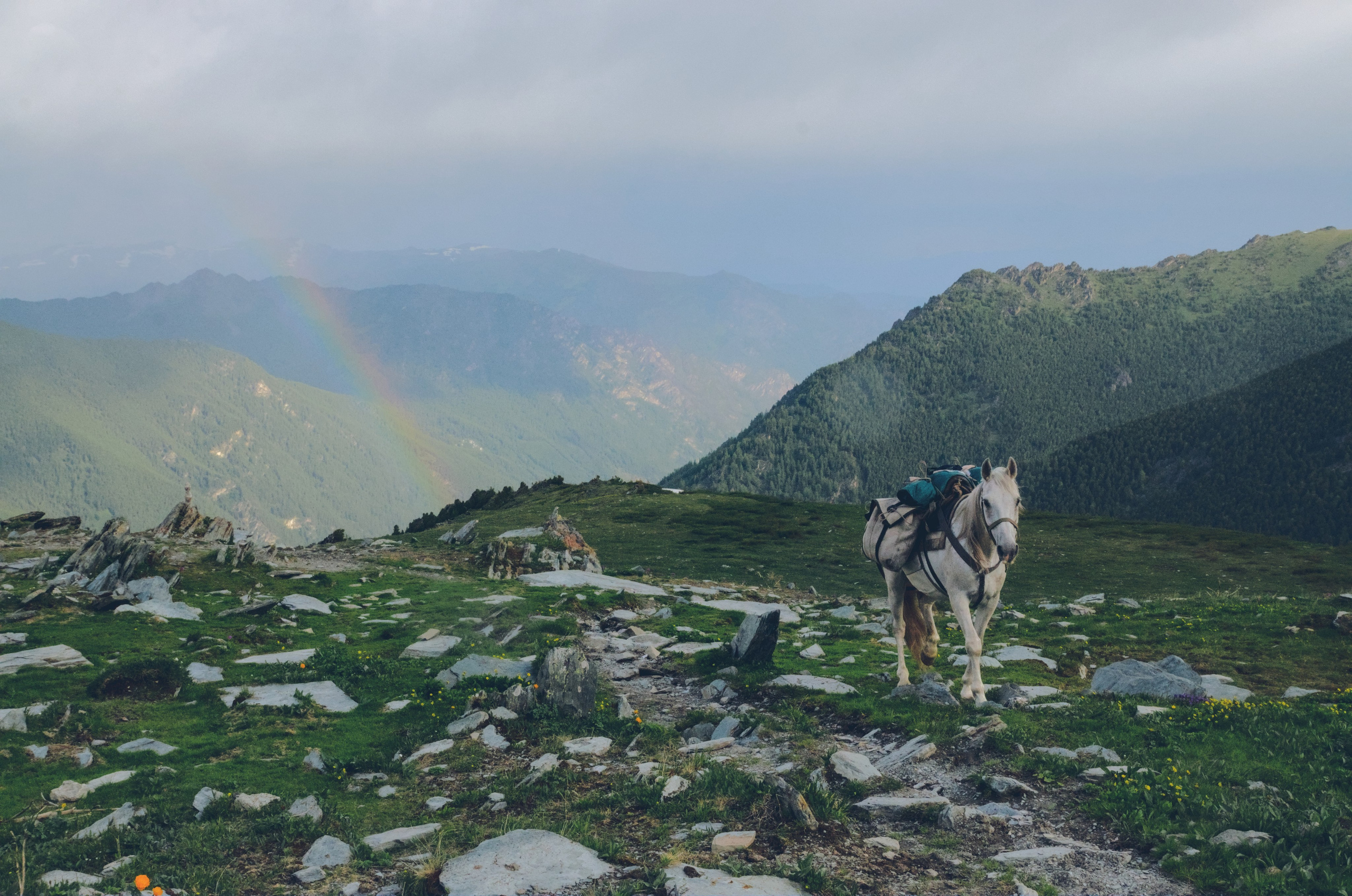 Стоянка «Каменная изба». Фотограф анималист, пейзажист, спортивные мероприятия. Новосибирск