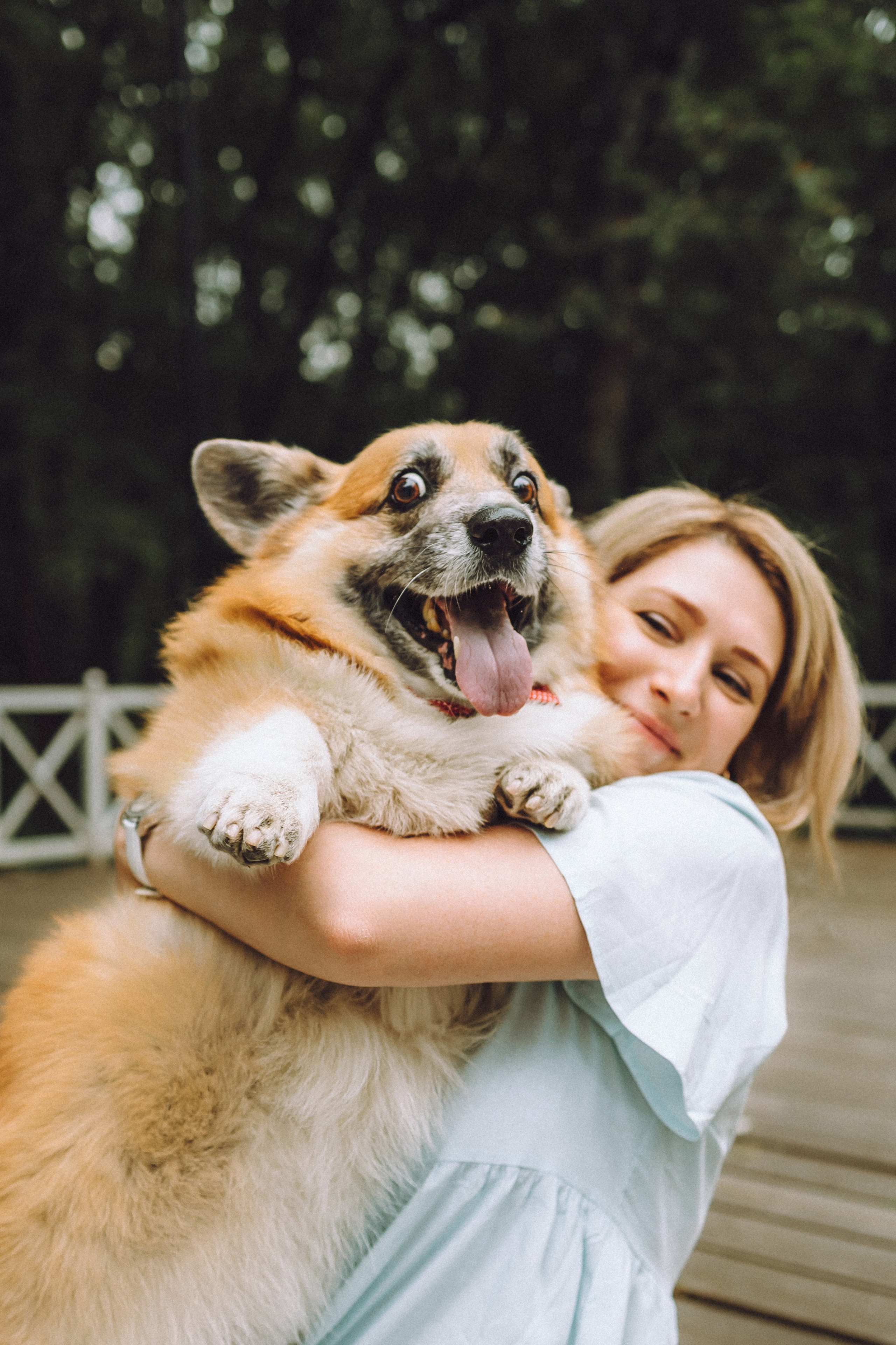 Ира, Леша и Харли