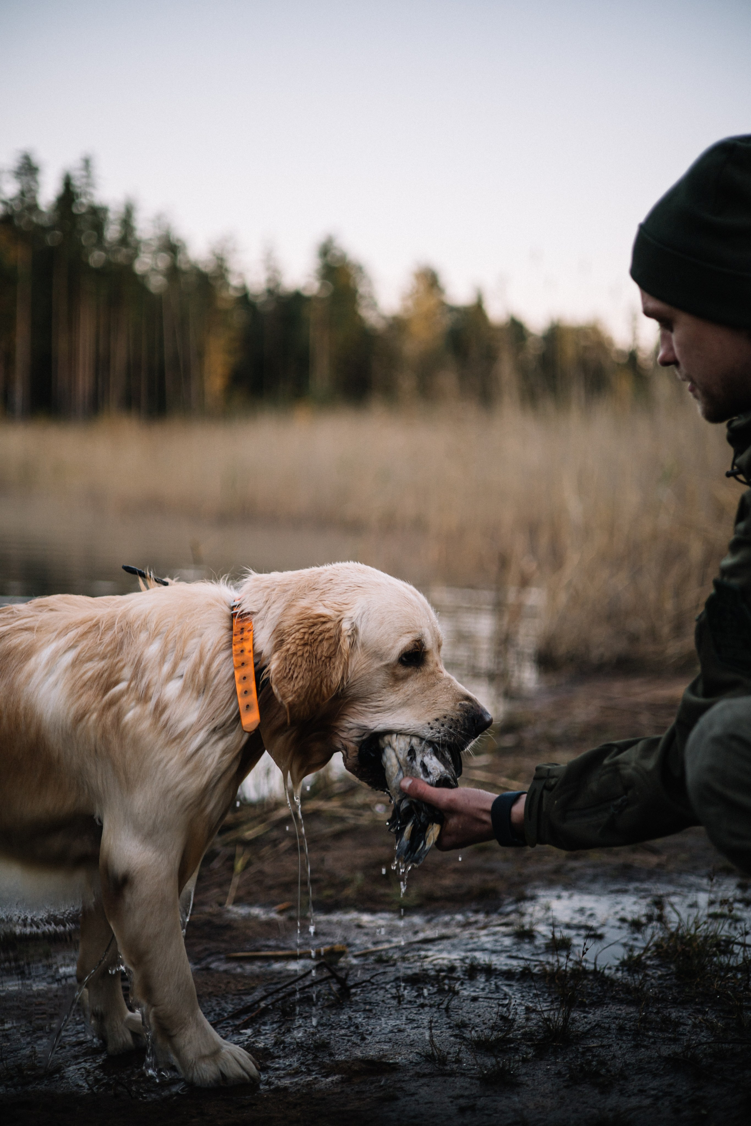 Для охотника