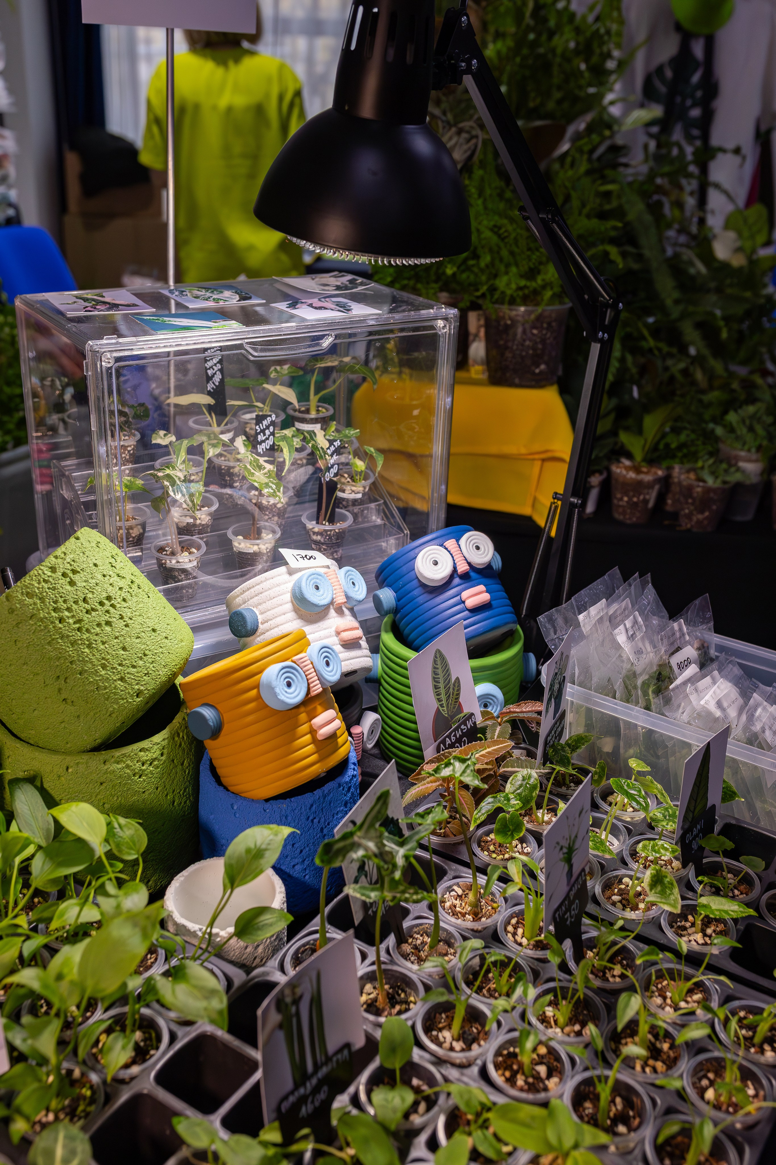 Монстериум апрель 2026. Александра Куликова фотограф, Москва