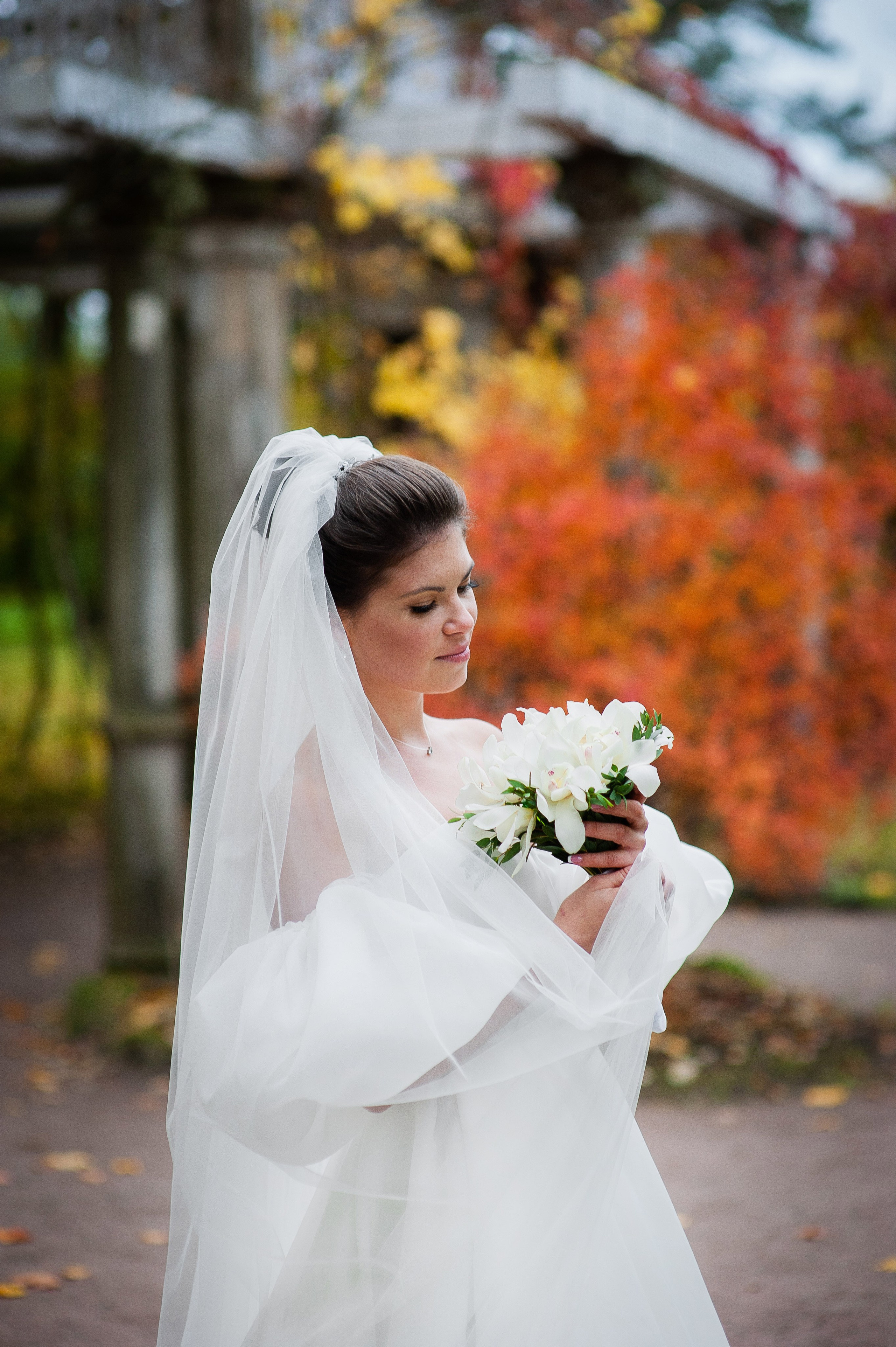 Осенняя свадебная прогулка в Екатерининском парке в Пушкине. Портретный, семейный и свадебный фотограф в Санкт-Петербурге и в Пушкине Ширяев Денис