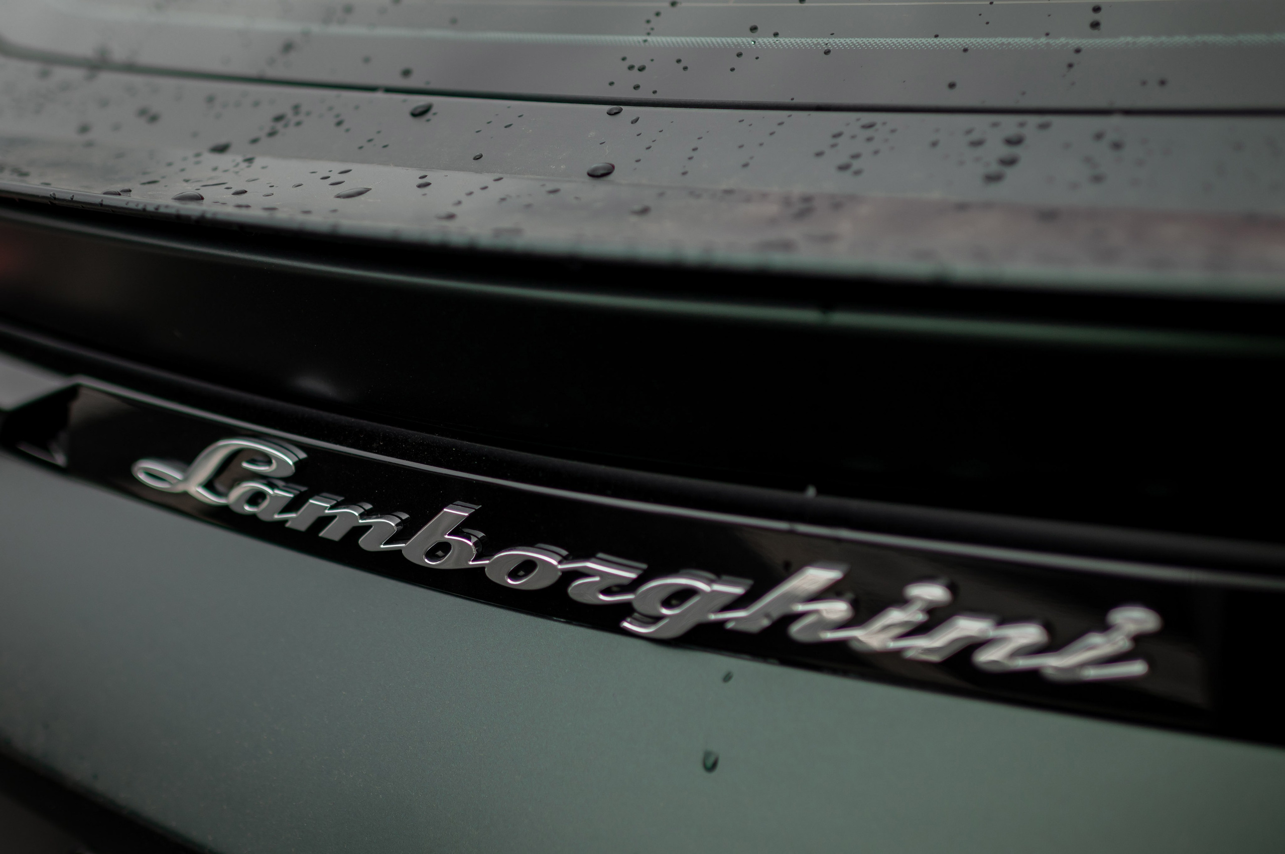 Классическая свадебная фотосессия Аины и Антона по самым красивым местам для свадебной прогулки в Санкт-Петербурге. Портретный, семейный и свадебный фотограф в Санкт-Петербурге и в Пушкине Ширяев Денис