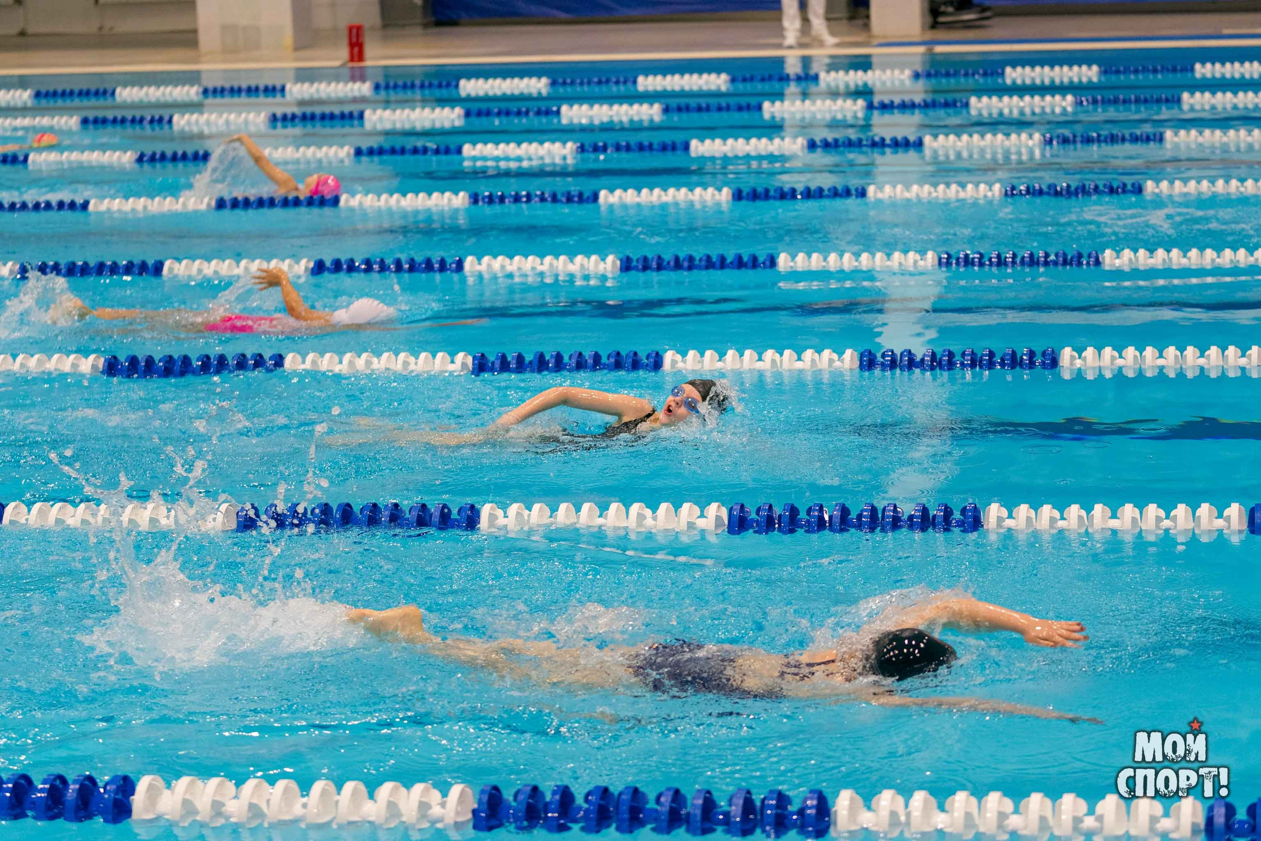 Соревнования по плаванию на призы Деда Мороза. Студия «Мой Спорт!» — все о спорте в Якутии
