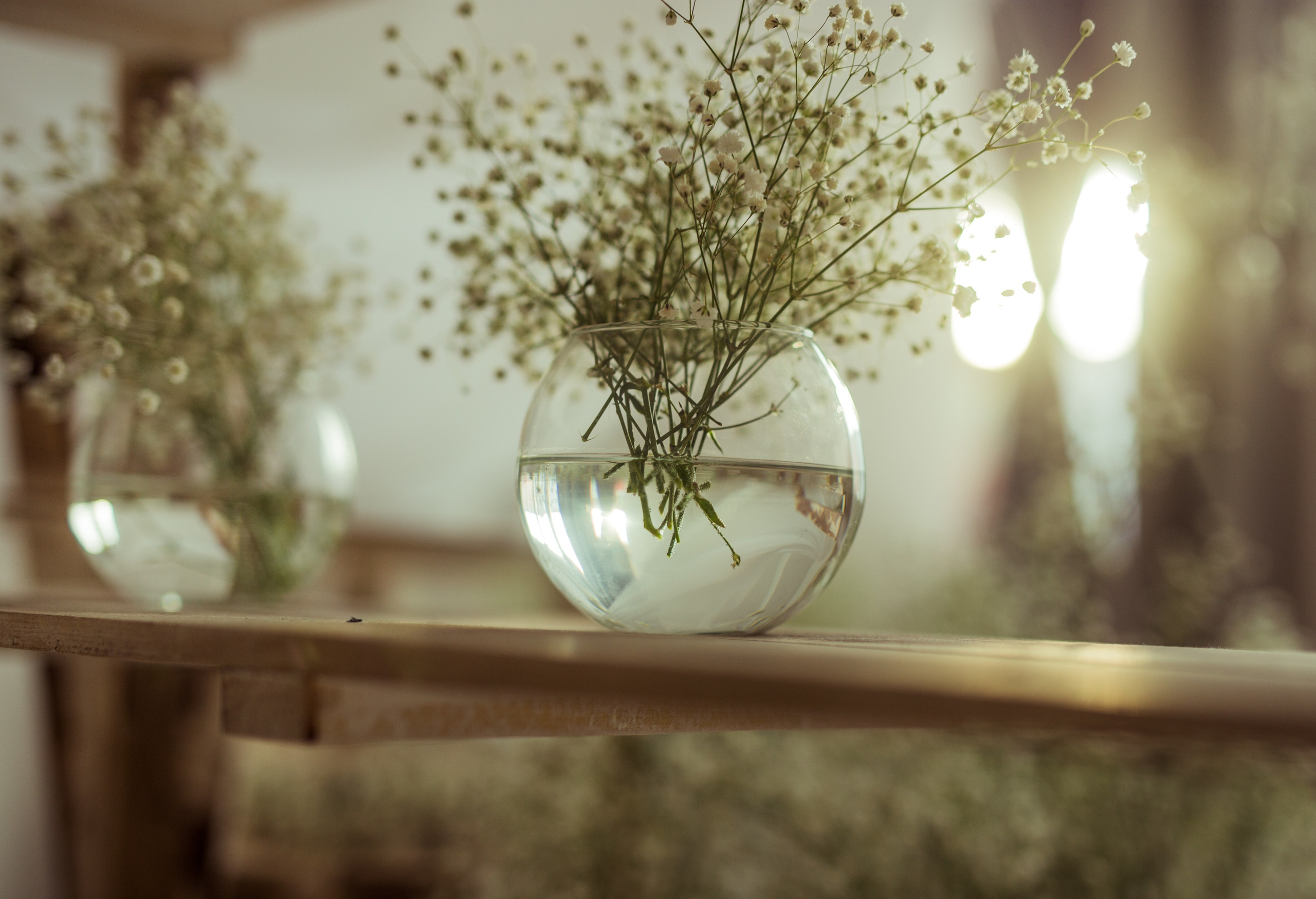 Предметная съёмка. Фотограф Екатерина Головатюк, Железногорск Красноярского края