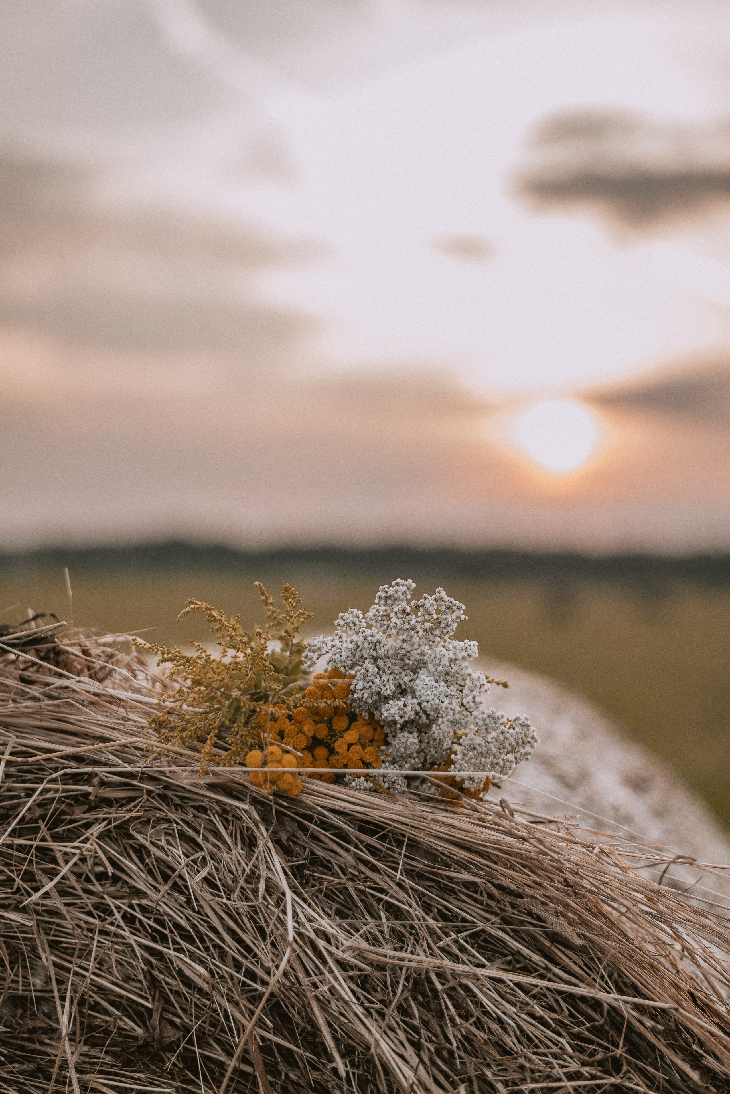 Юлия с сыновьями. Свадебный и семейный фотограф Юлия Чернобай | Подольск, Москва, Московская область