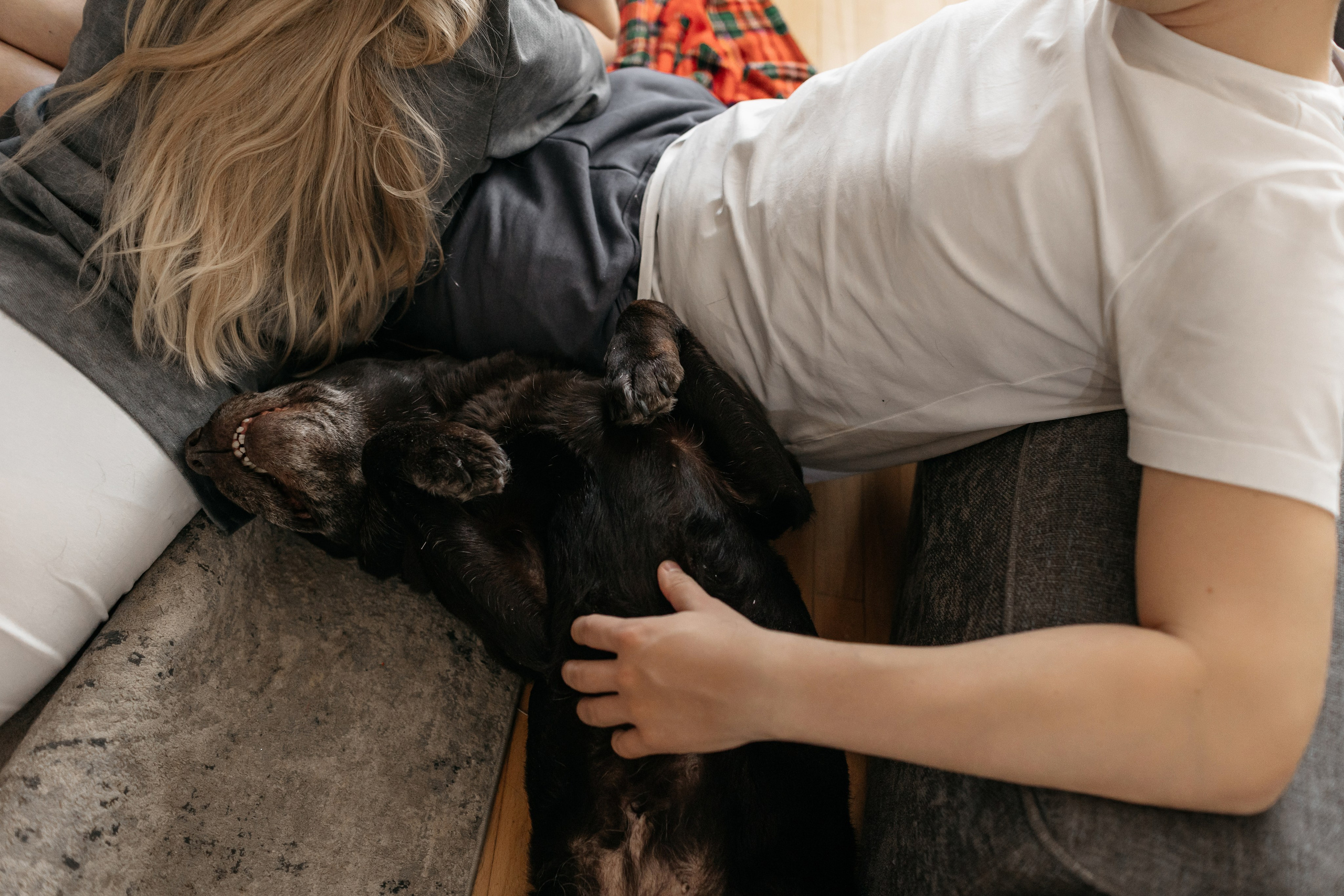 Новый Год. Свадебный и семейный фотограф в Самаре Посконнова Анна