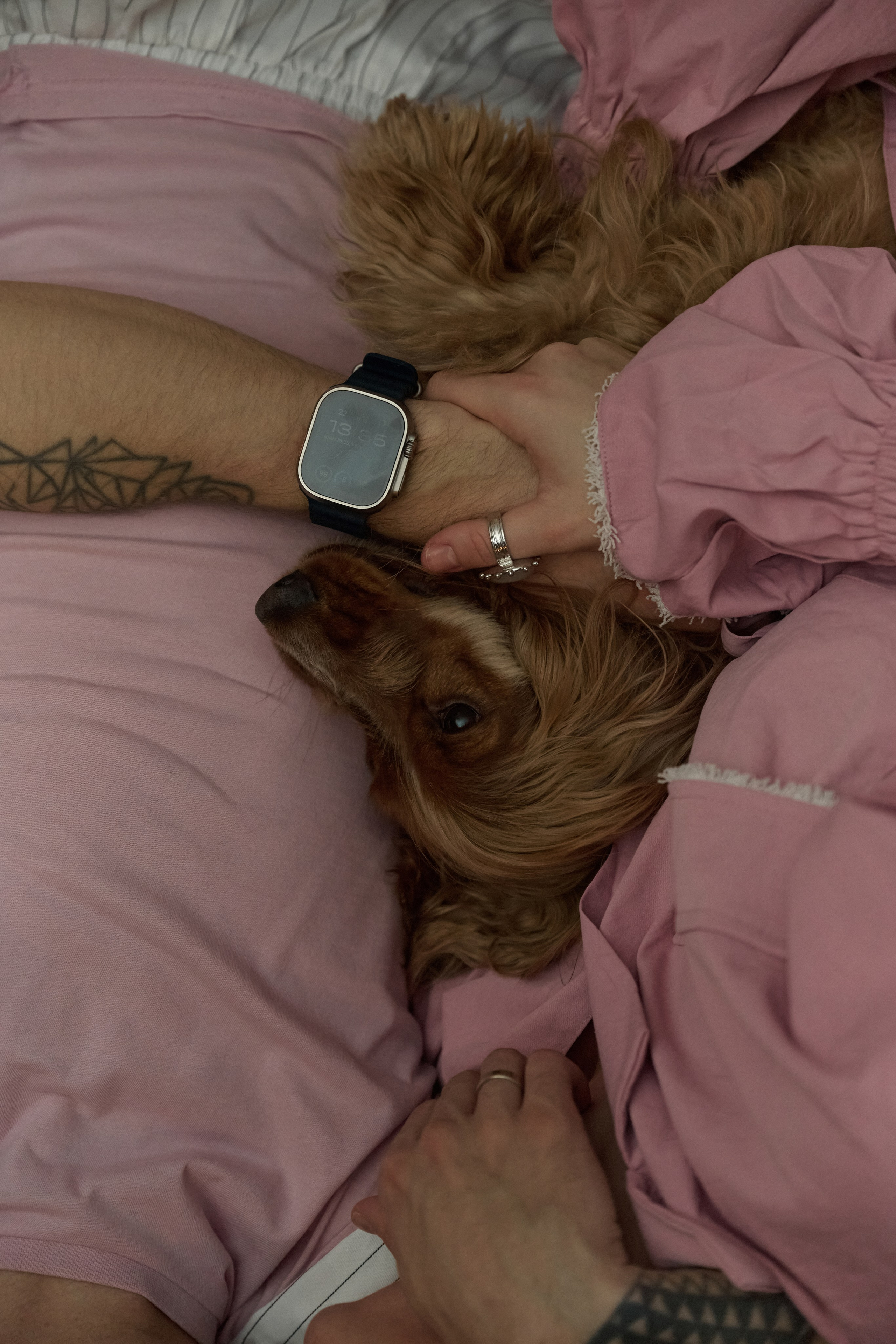 Егор и Аня. Свадебный фотограф МОСКВА, КРЫМ, СМОЛЕНСК АЛЯ КОНОВАЛОВА