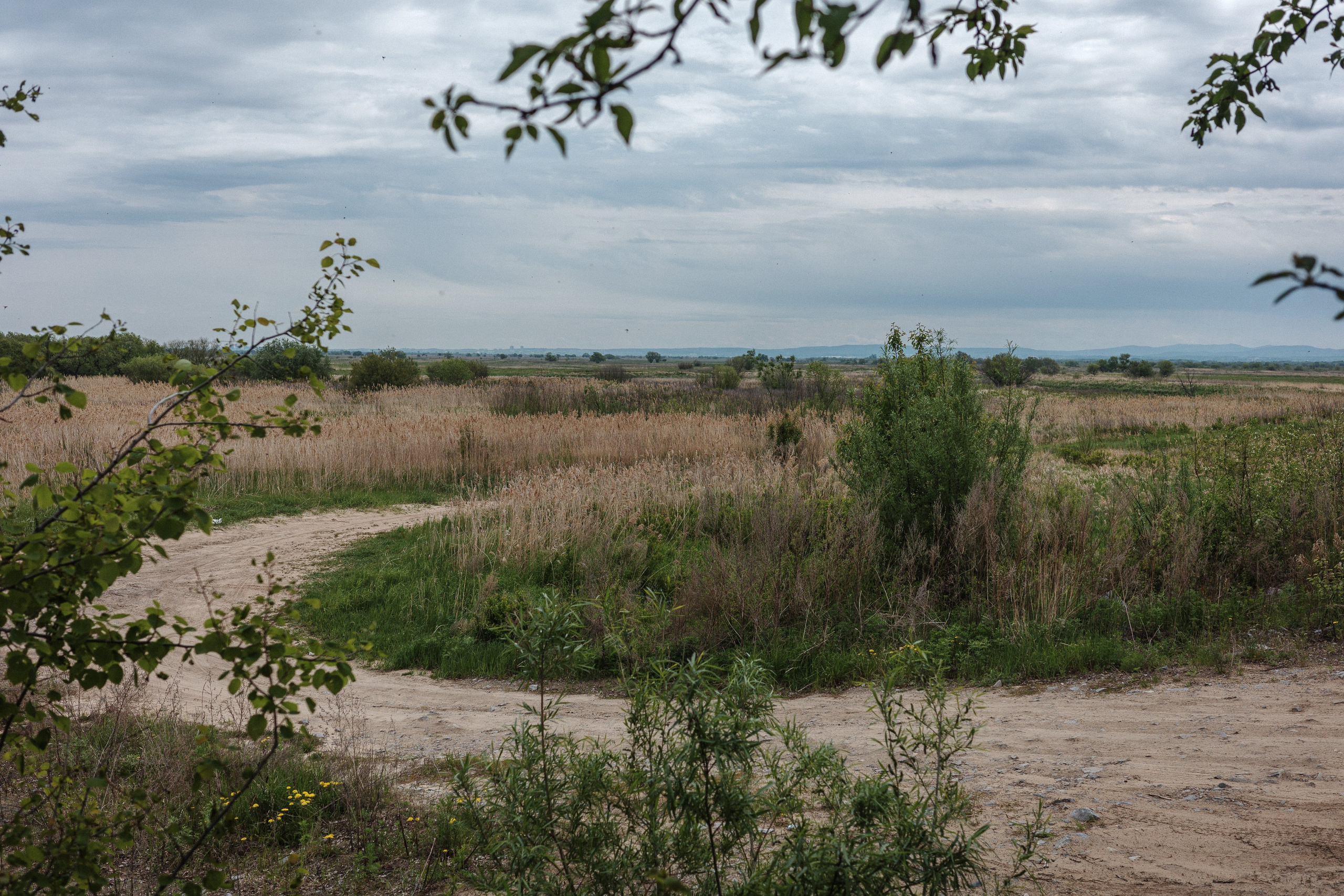 С Димой Уссурийский остров. Фото журналист