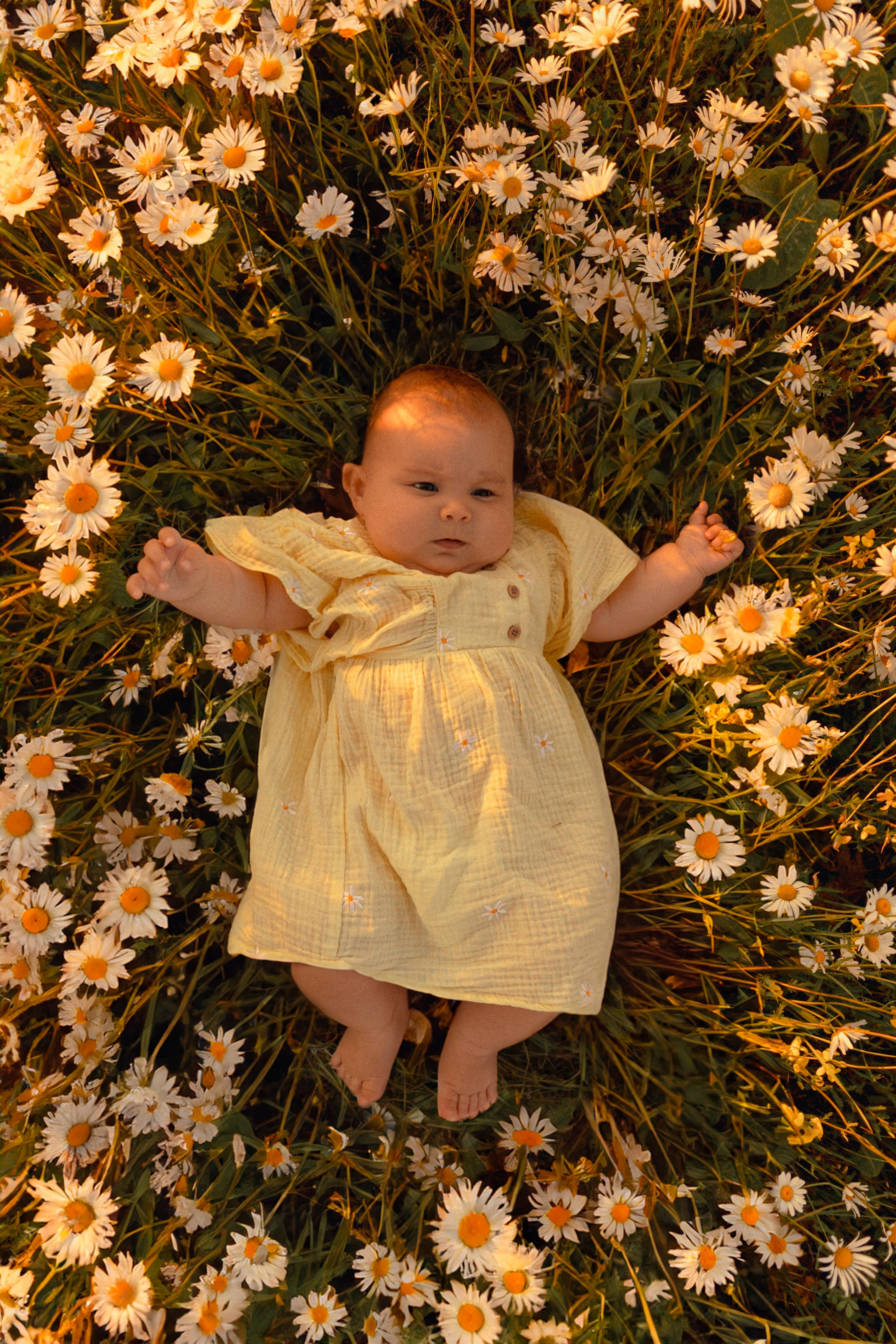 РОМАШКИ. Фотограф Настя Конник | Пятигорск | Эльбрус | Домбай | Архыз