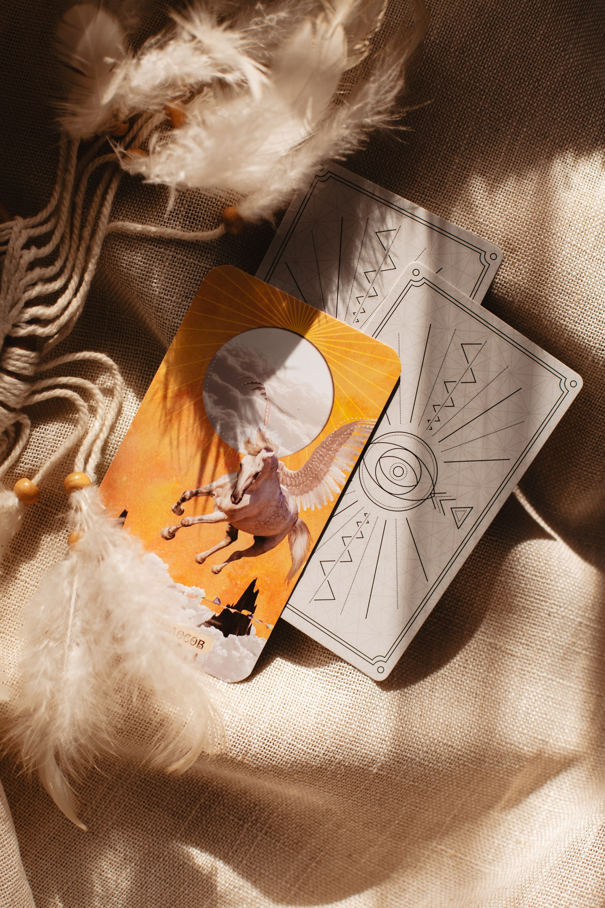 Таро. Виолетта Скрипка