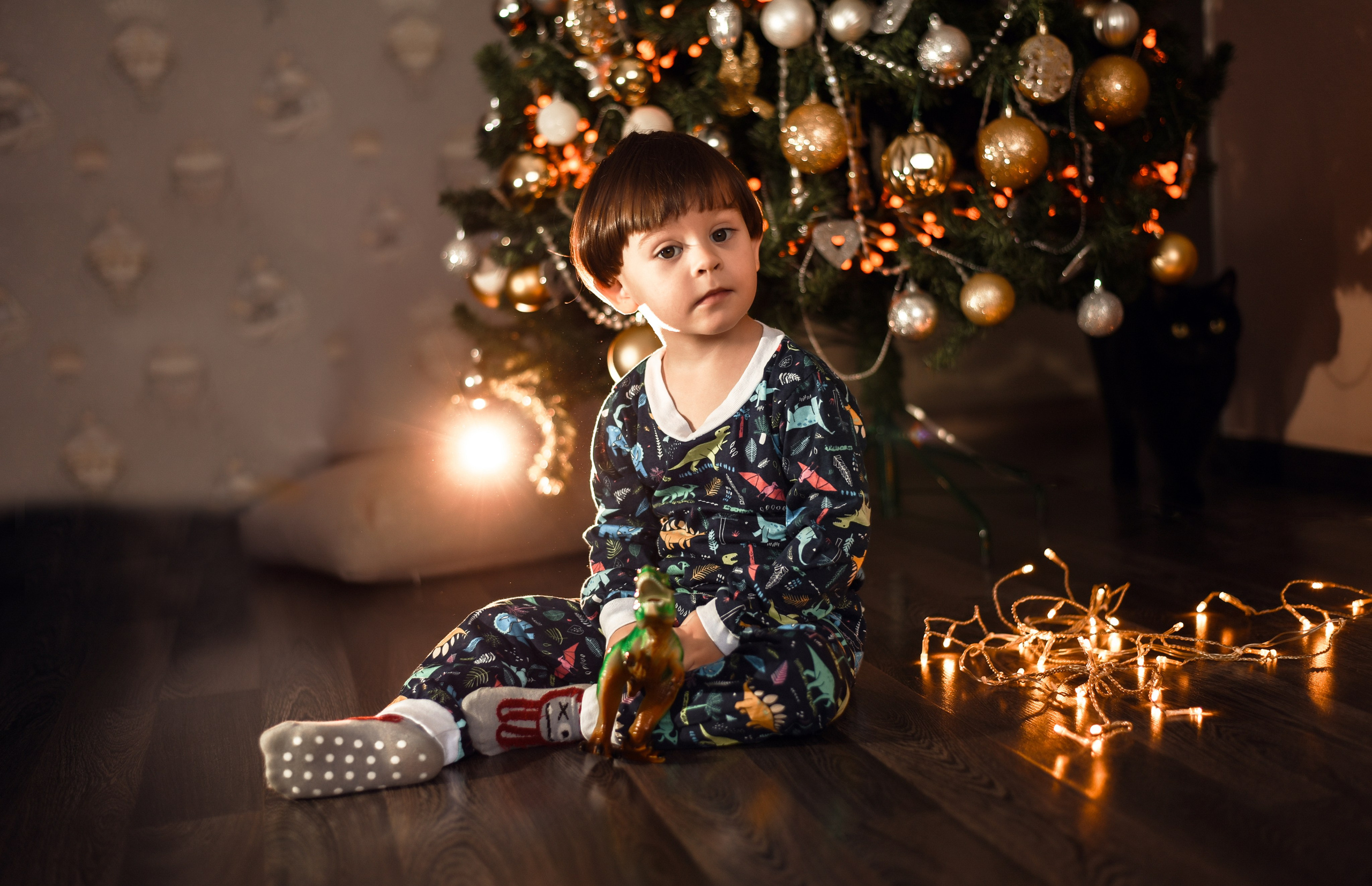 Домашняя новогодняя. Свадебный, семейный, детский, контент фотограф в Омске Максим Ильин