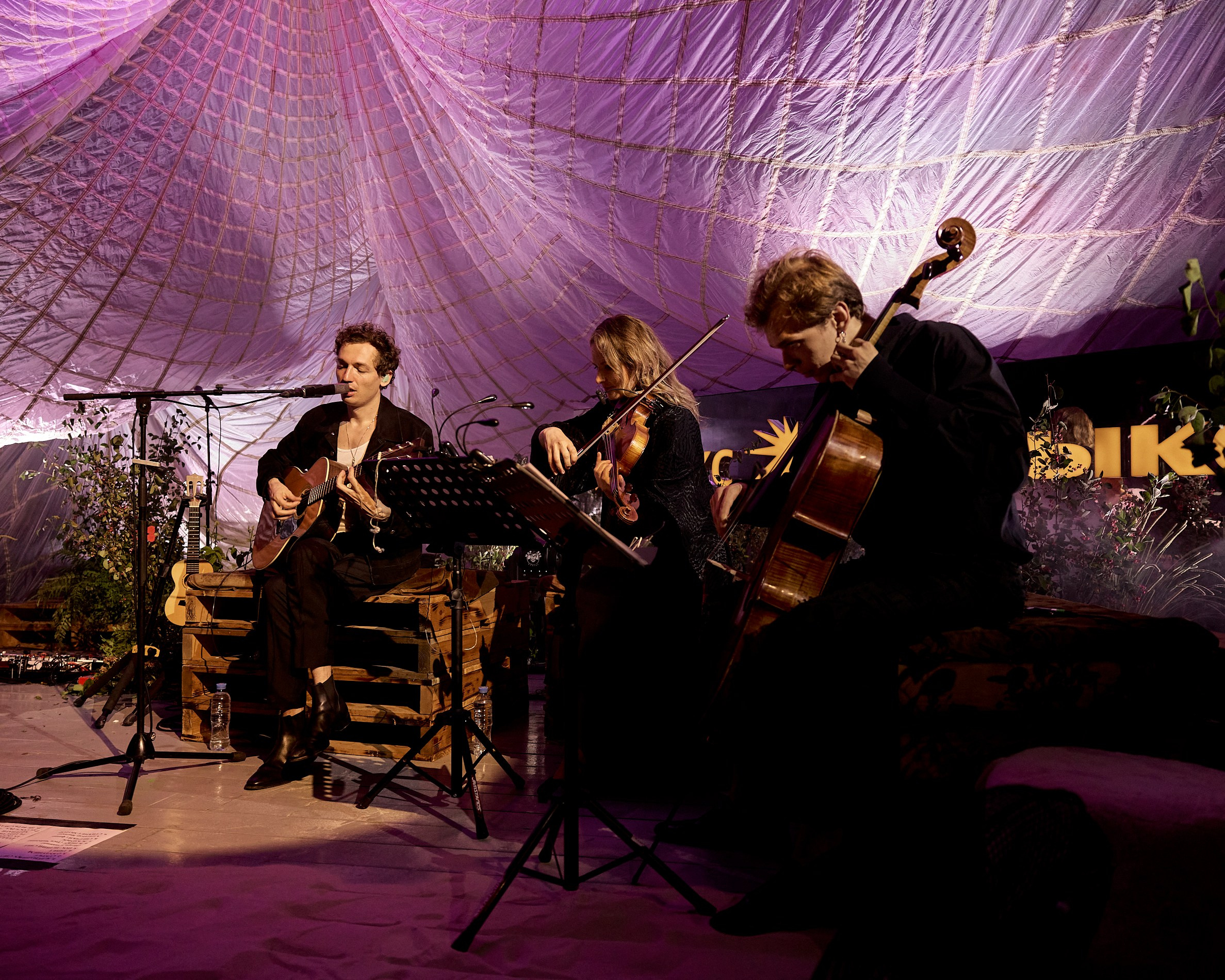 ZOLOTO / ЯНДЕКС ДАЧА / 2024. OOPS