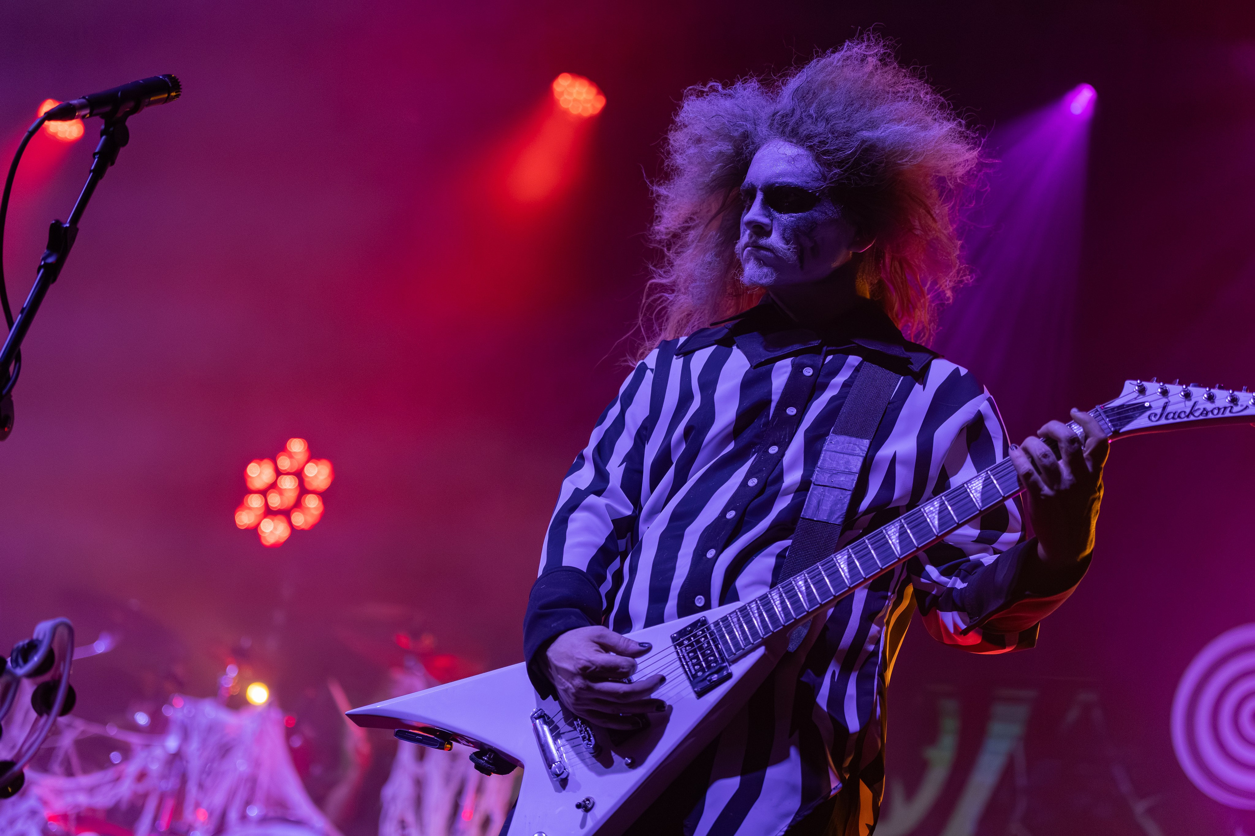 Tardigrade Inferno 2026. Предметный и репортажный фотограф в Санкт-Петербурге Александр Е